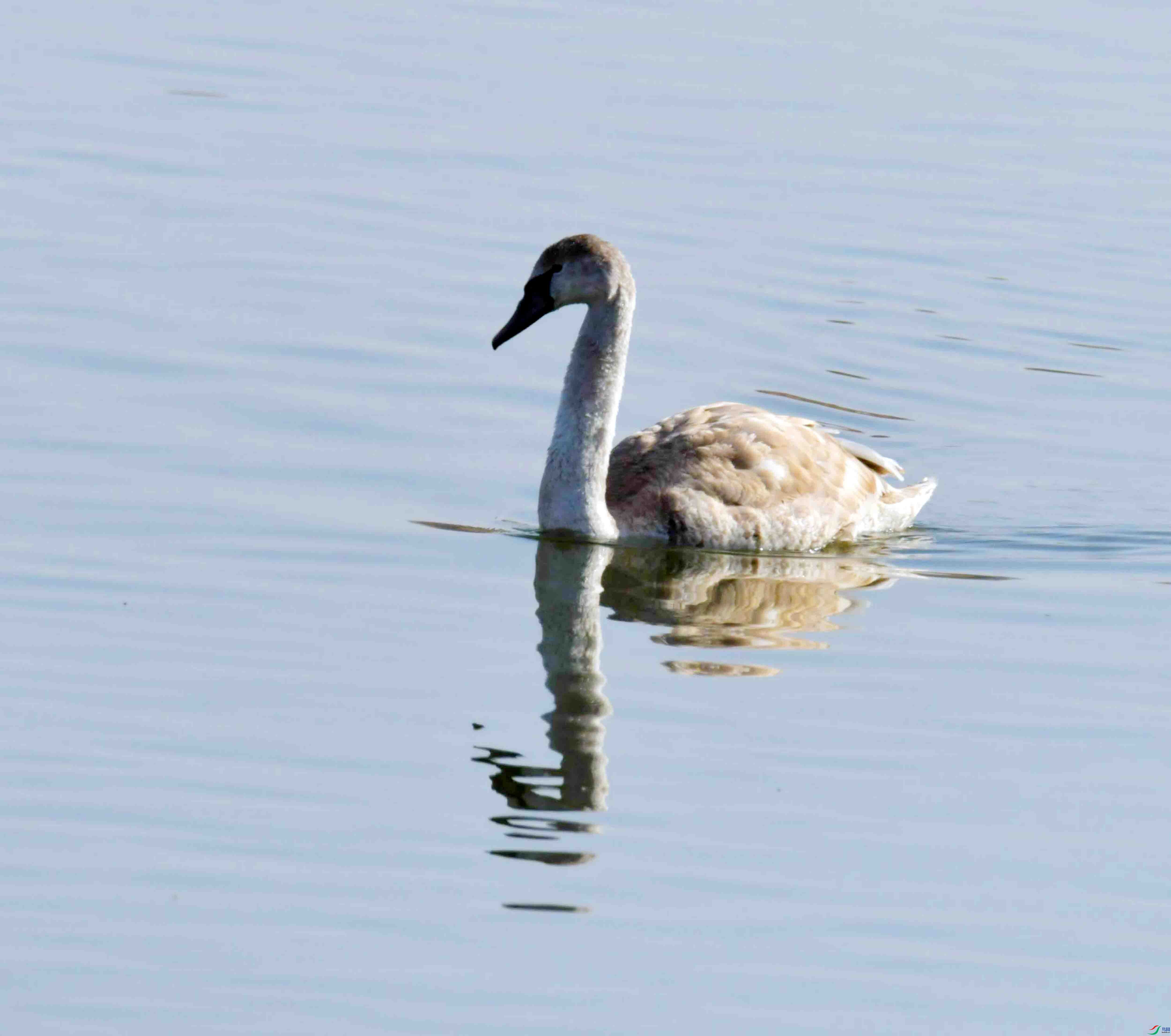 DSC_8434.JPG