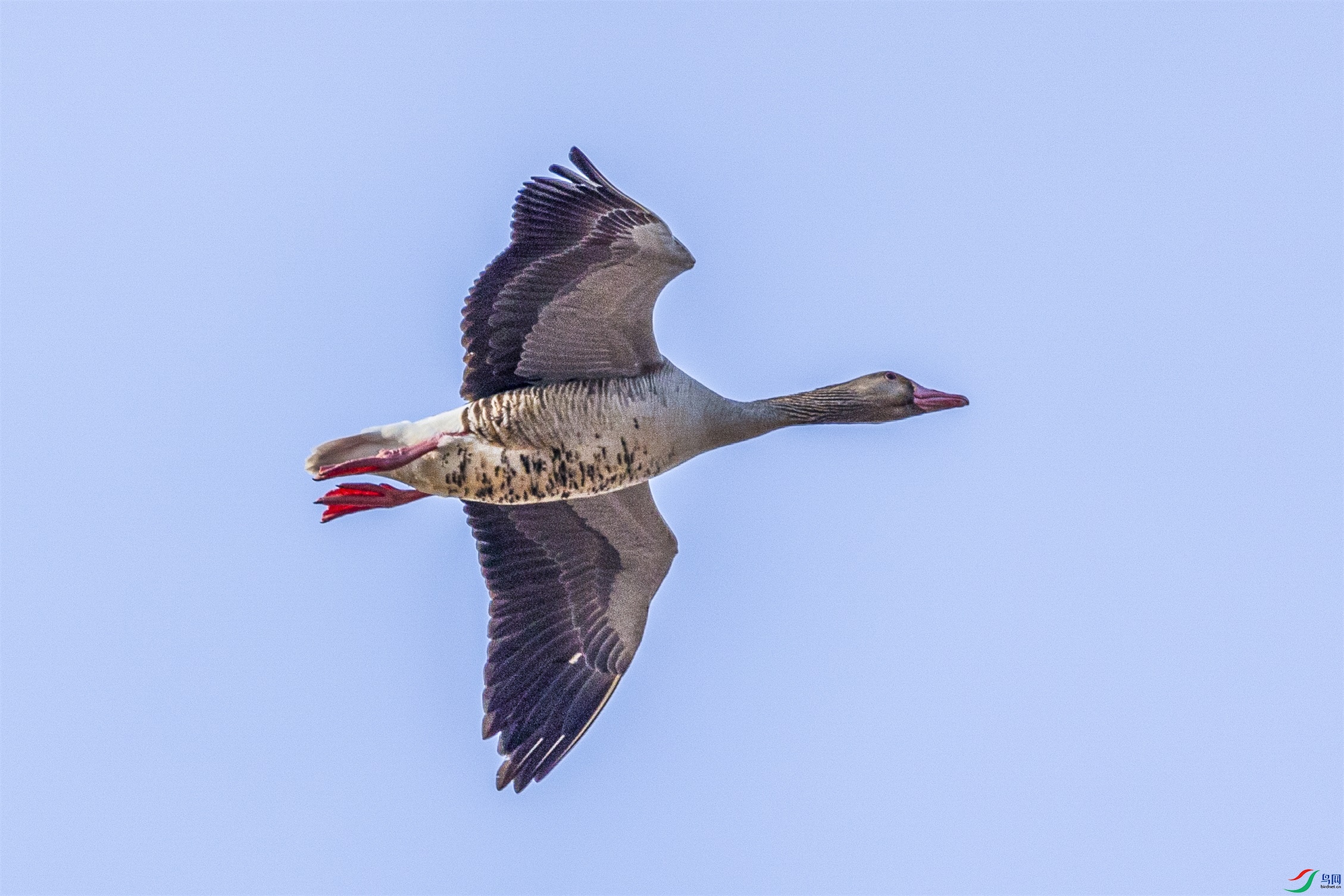 1K3A1425 ����1.jpg