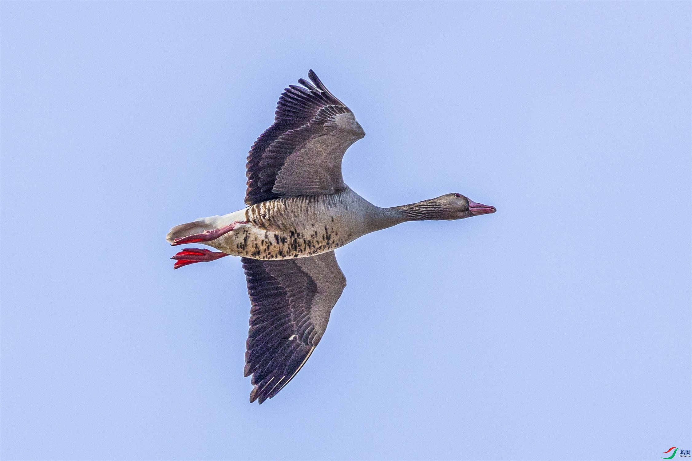 1K3A1427 ����1.jpg