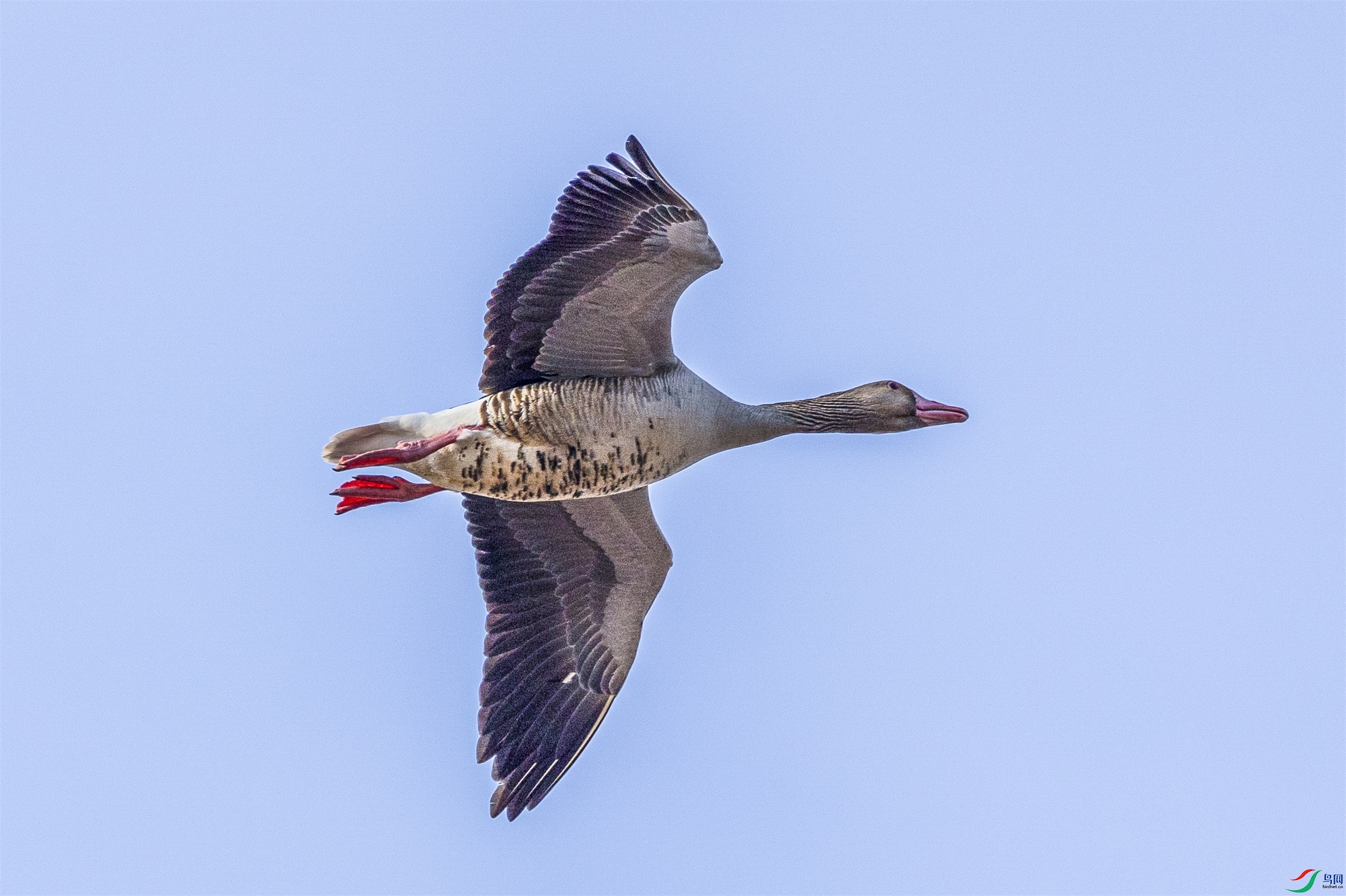 1K3A1429 ����1.jpg