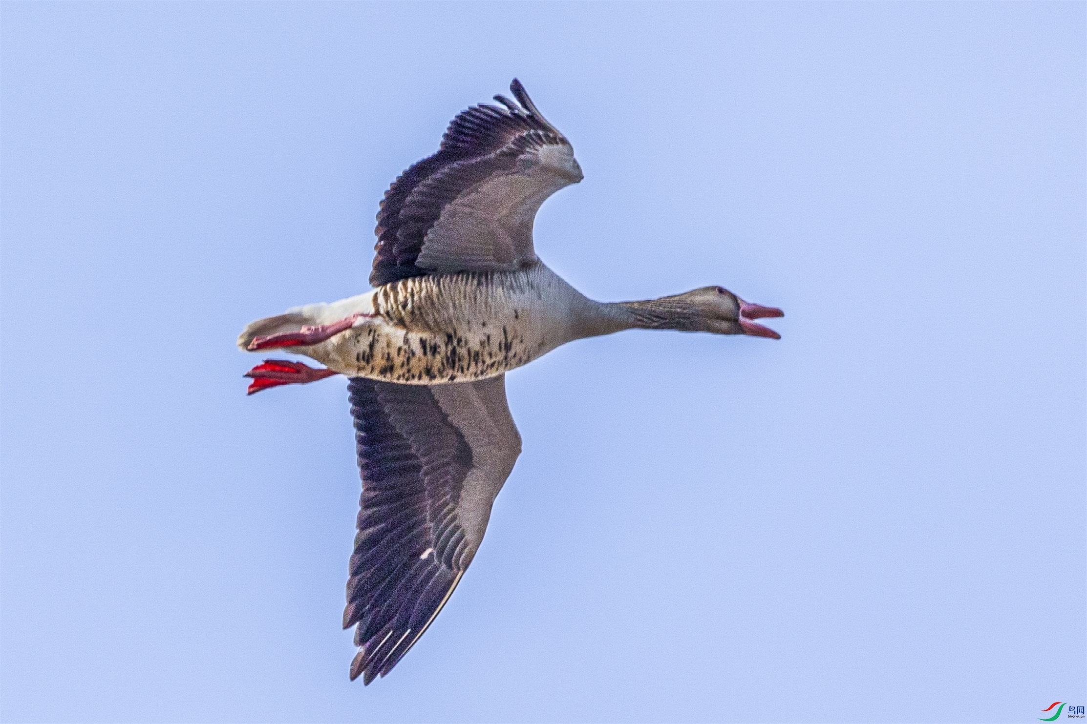 1K3A1431 ����1.jpg