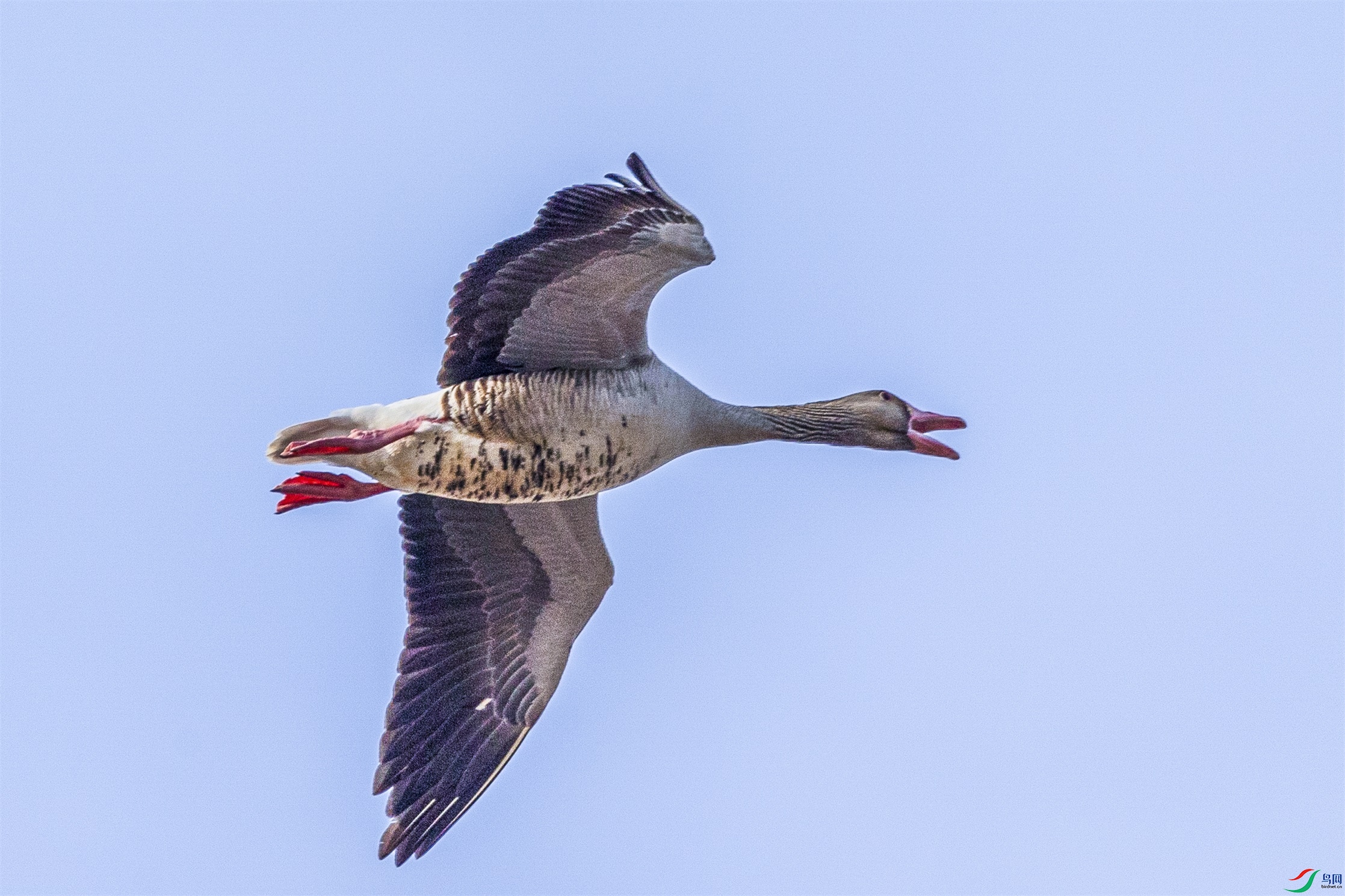 1K3A1432 ����1.jpg