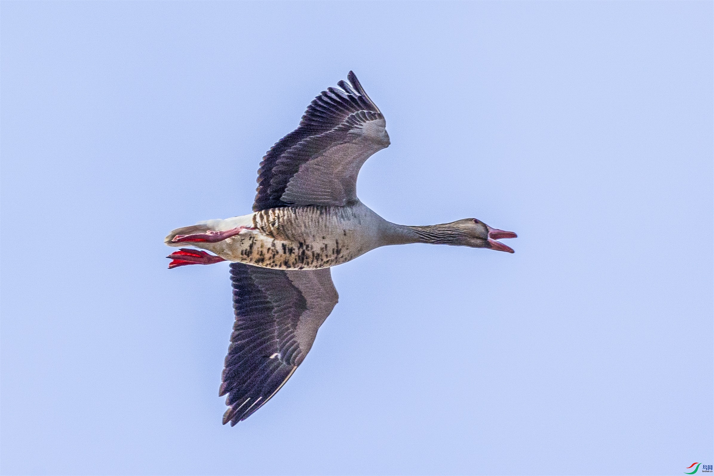 1K3A1434 ����1.jpg