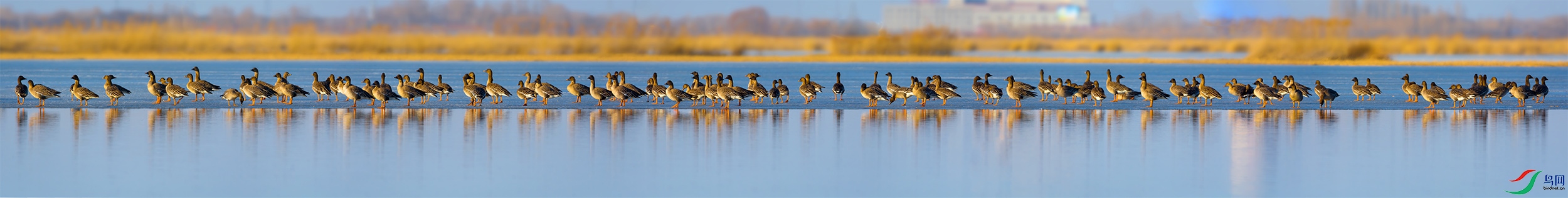 DSC_2548-Pano.jpg