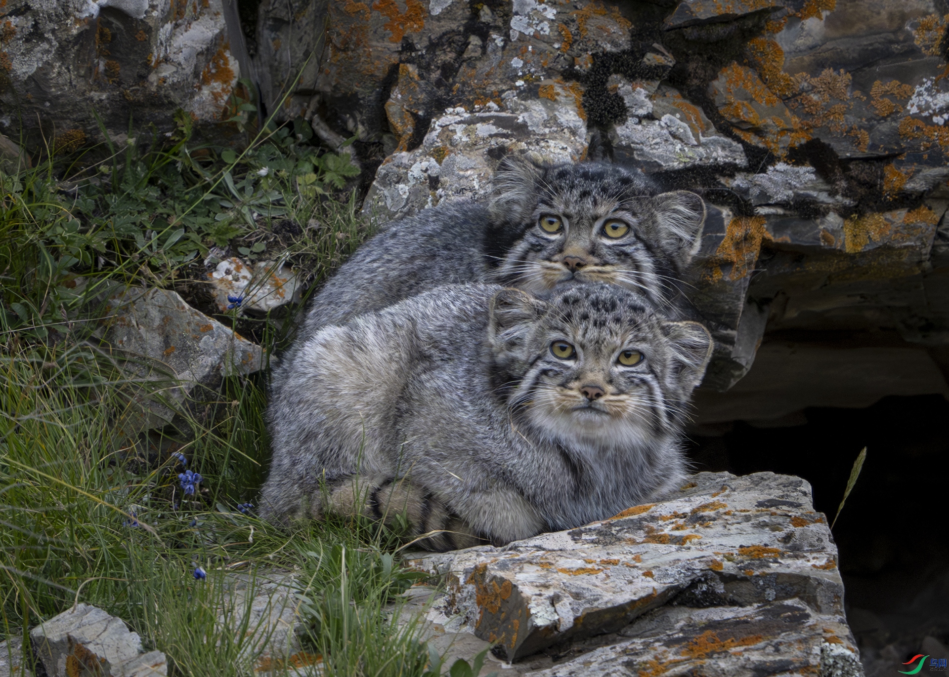 _DSC8280-����ǿ-NR ����  1920.jpg