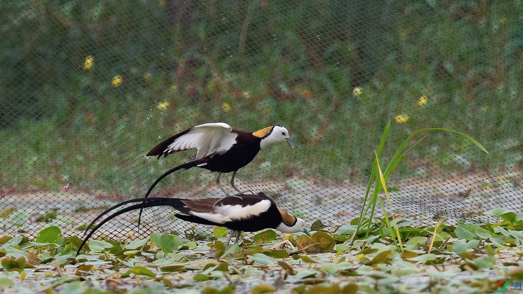 DSC_6909_DxOa.jpg