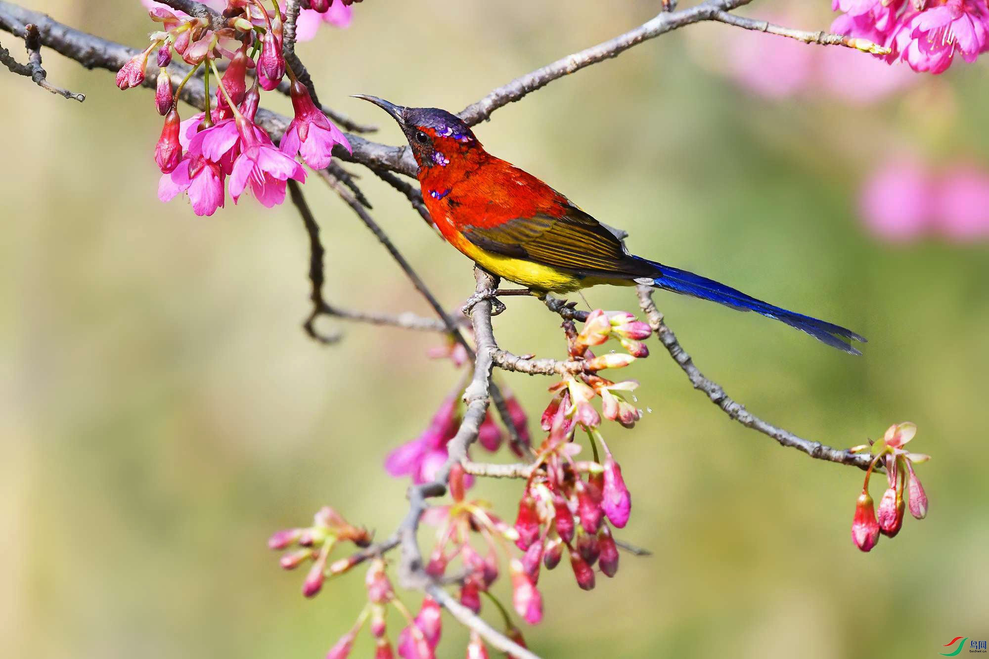 DSC_6588_.jpg