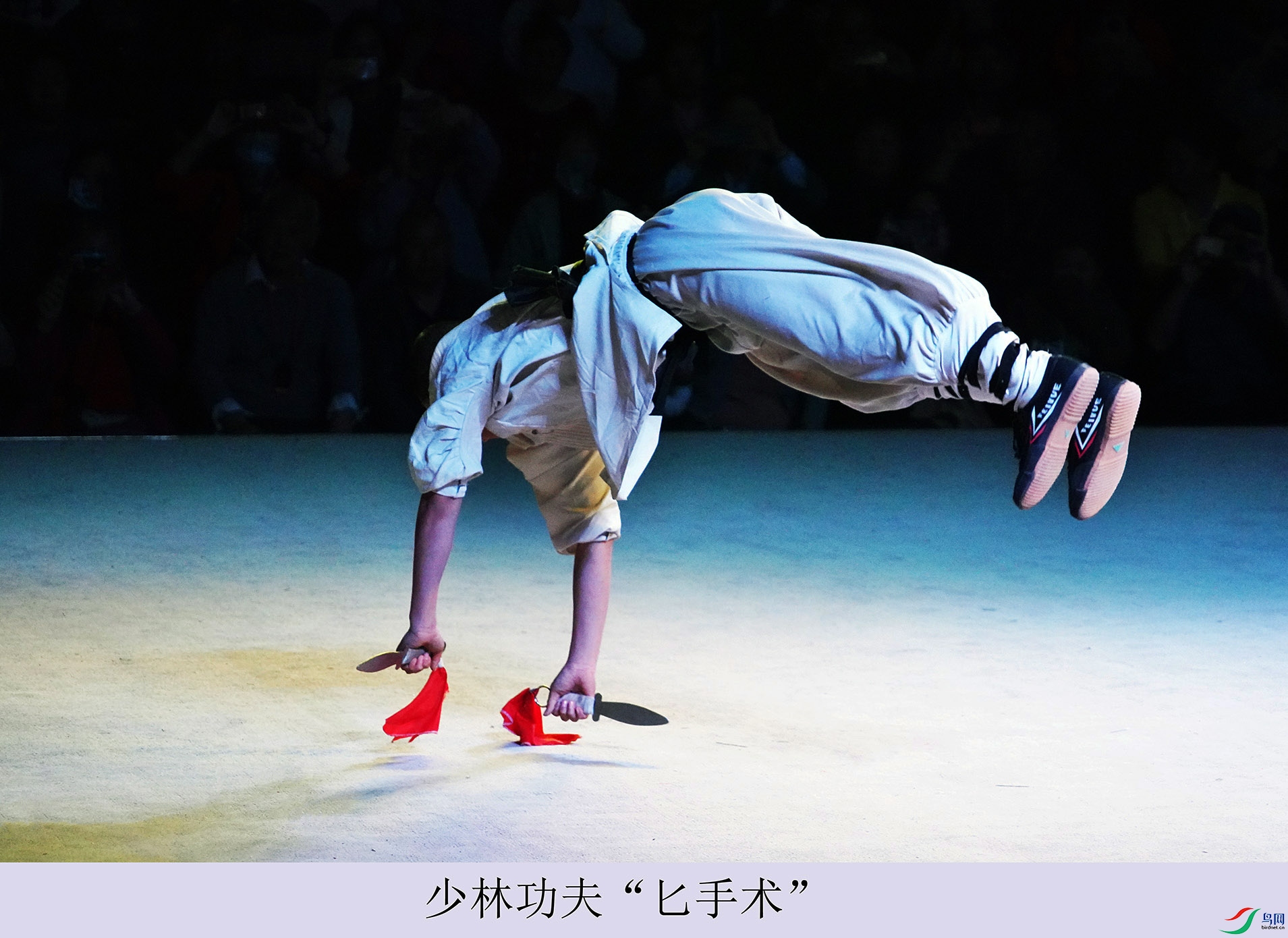 DSC07389.jpg