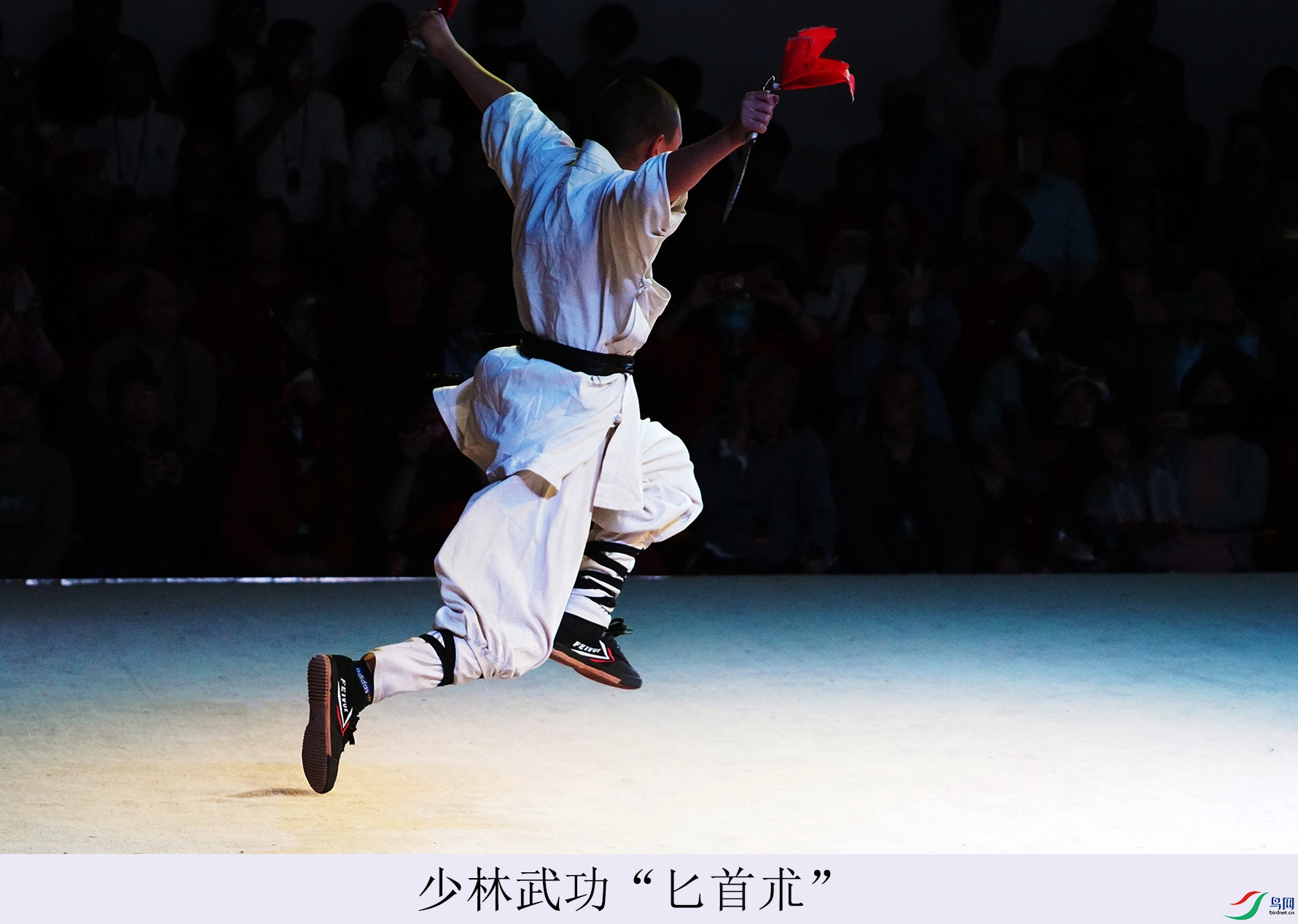 DSC07423.jpg