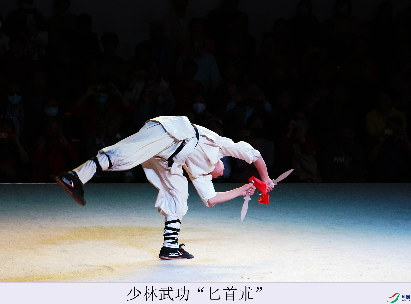 DSC07426.jpg