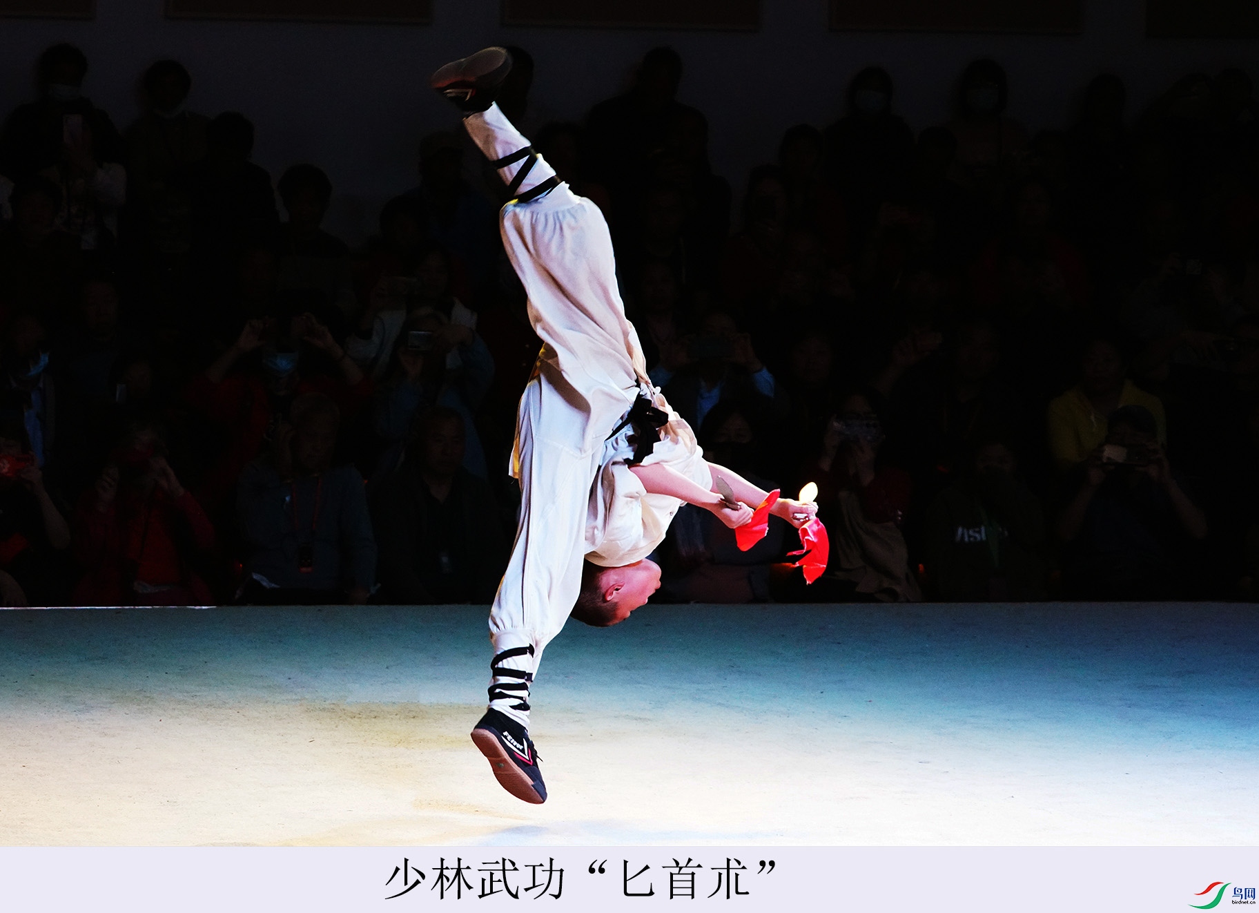 DSC07427.jpg