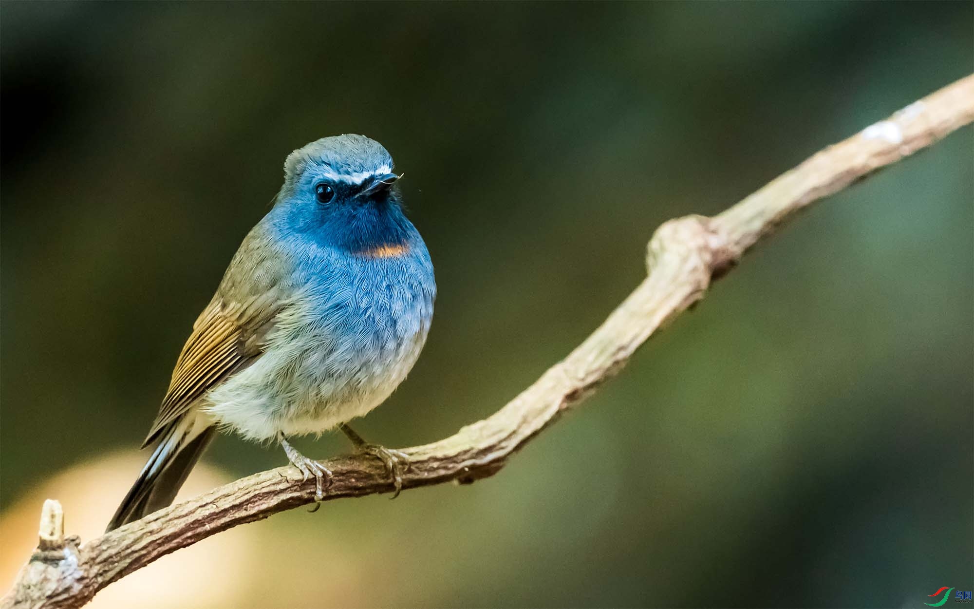 ���ؼ��l