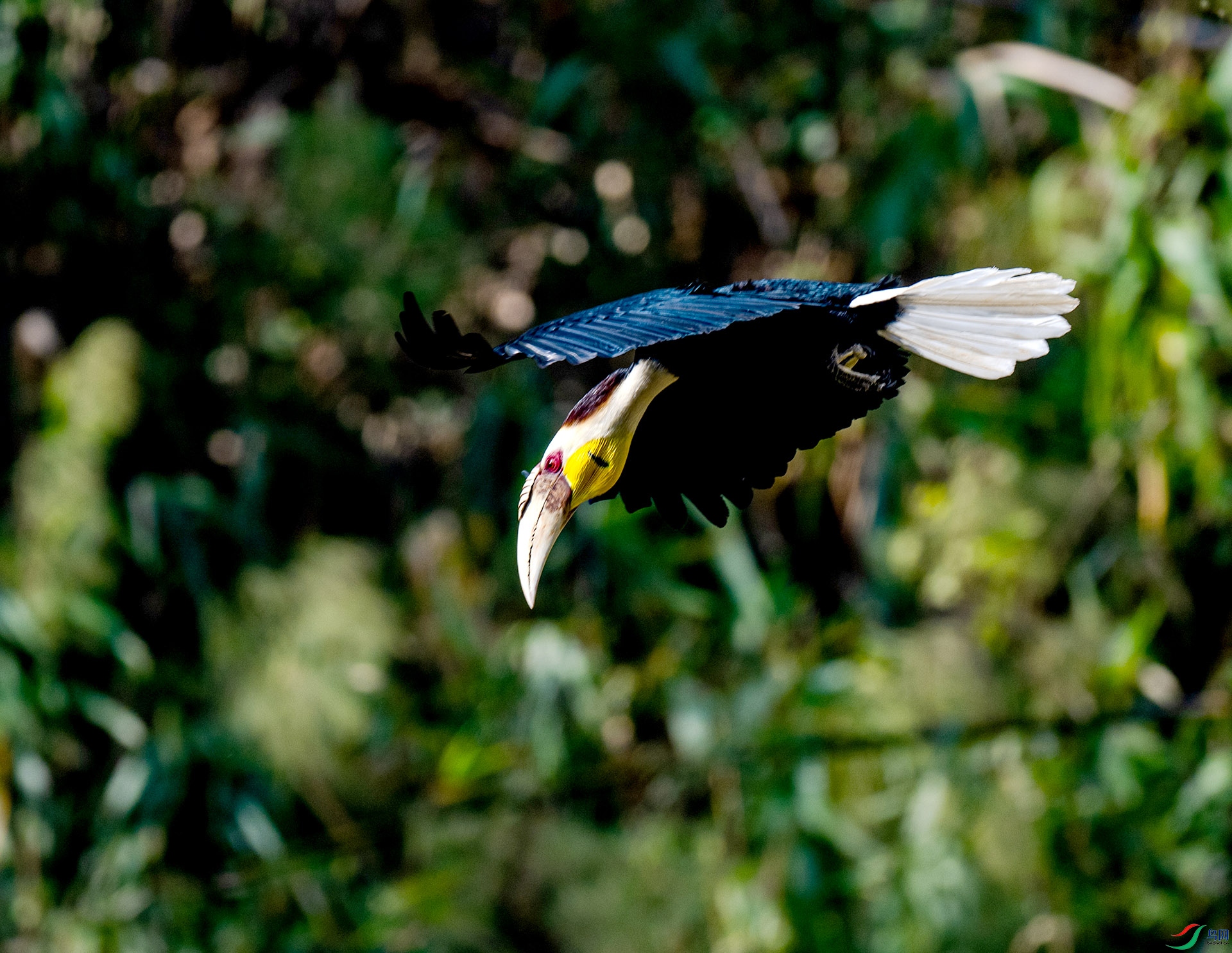 �������Ϭ��