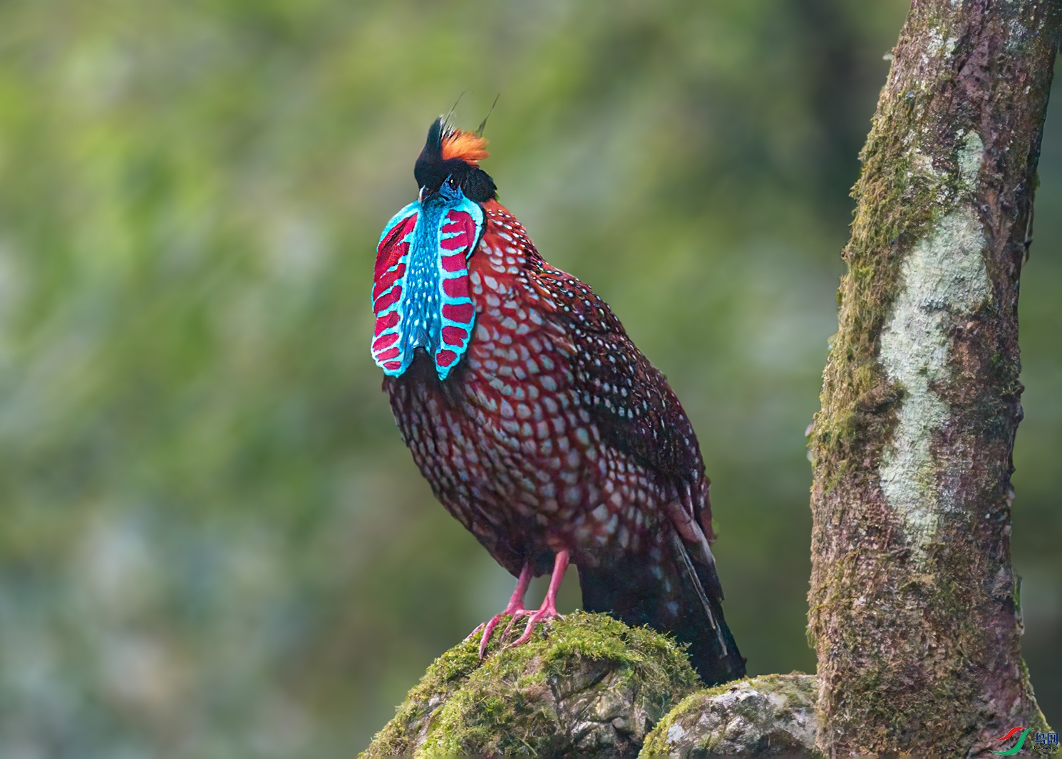 DSC_6902.jpg