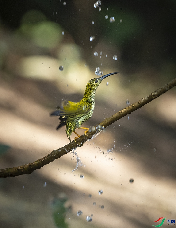 _E7A7763-1.jpg