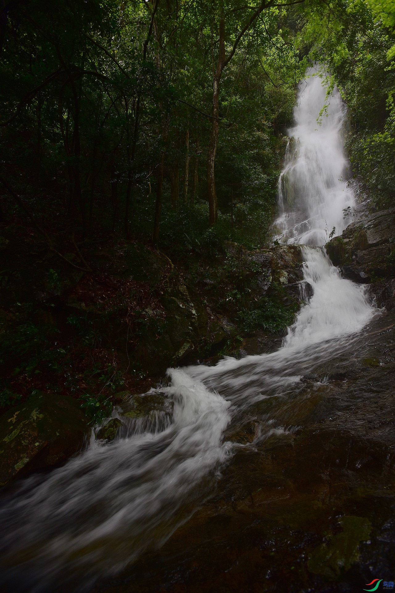 D8I_1103.jpg