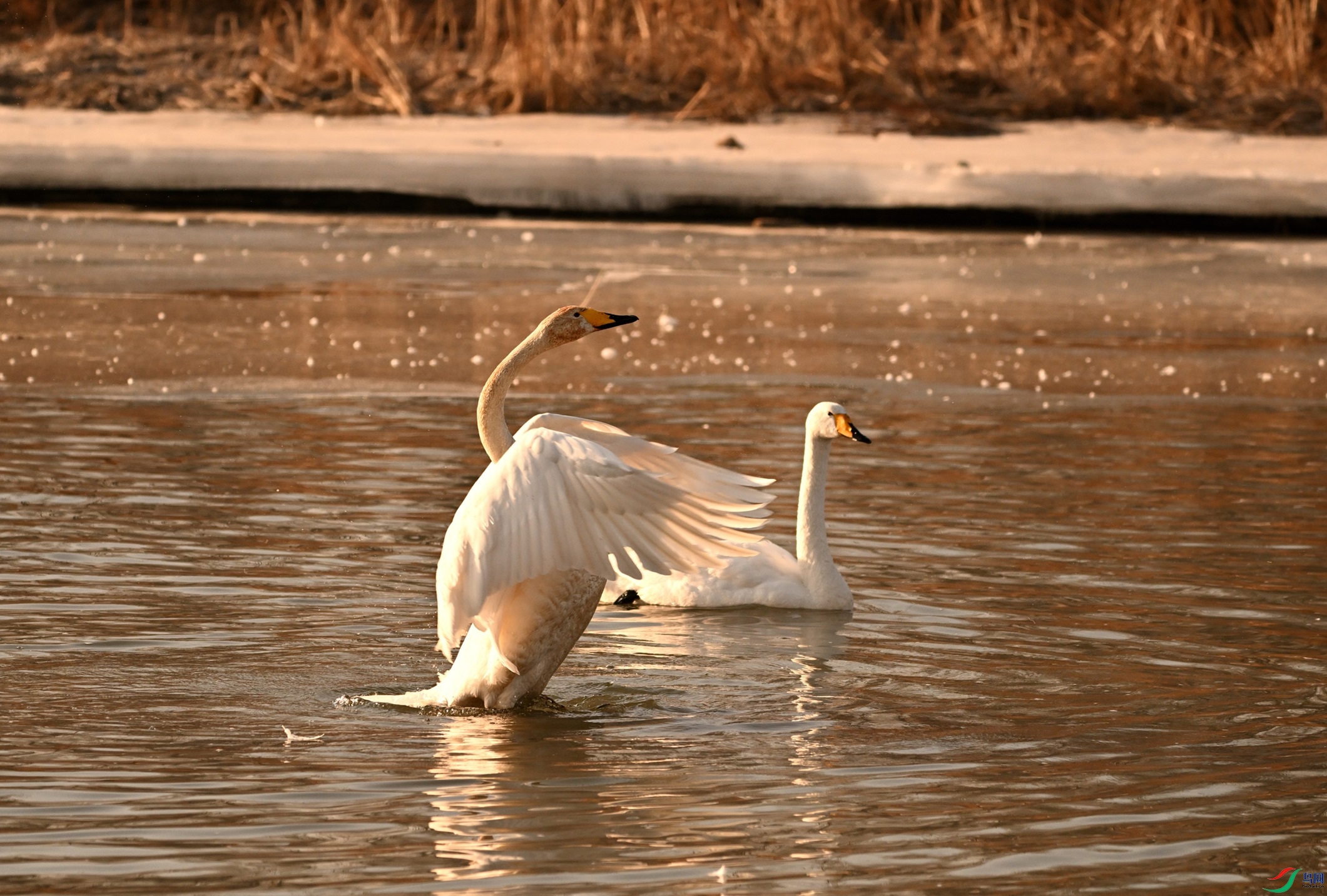 DSC_1381.JPG