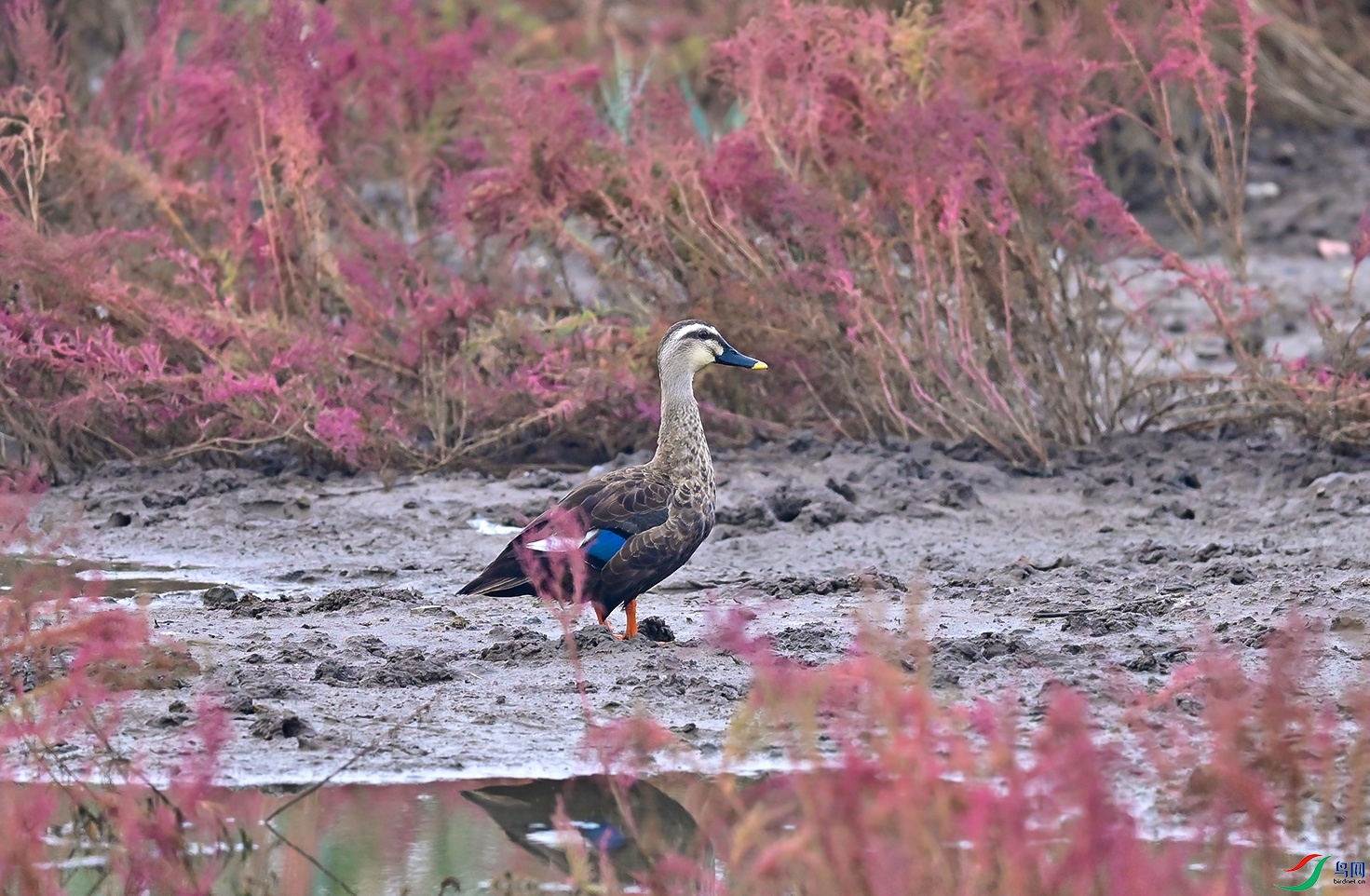 _DSC9982f.jpg