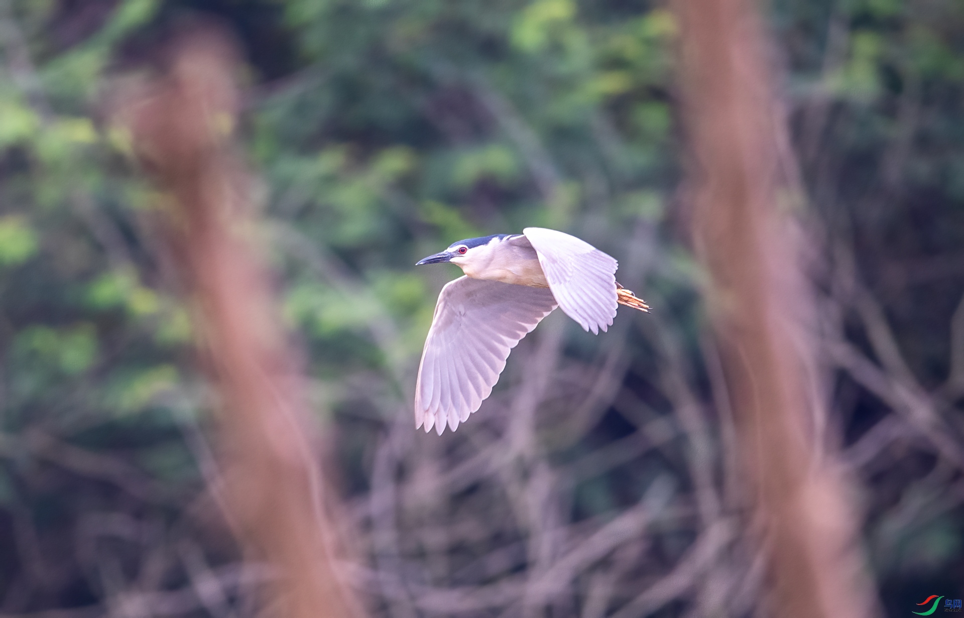 DSC_2694.jpg