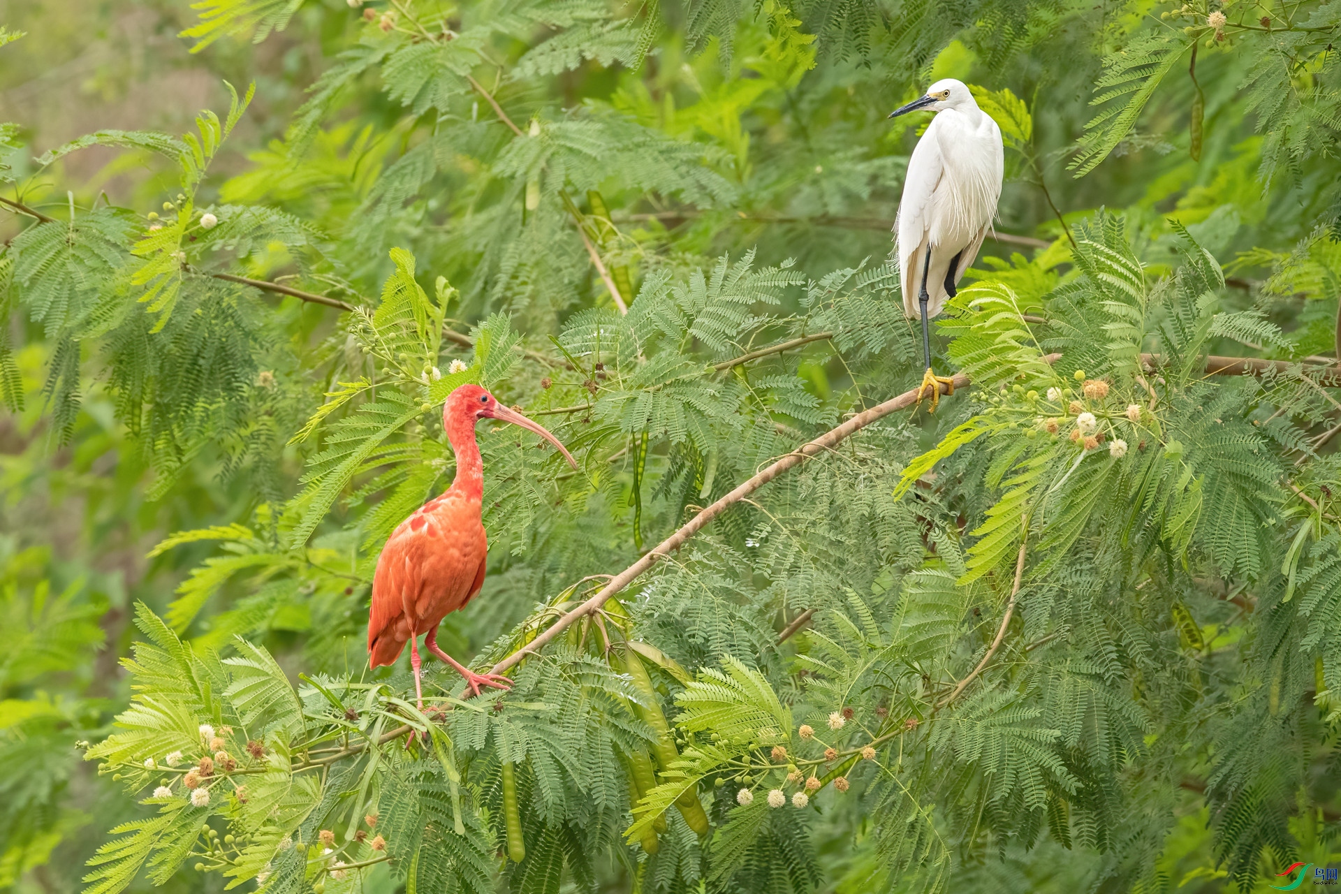 B86I1850 _����.jpg