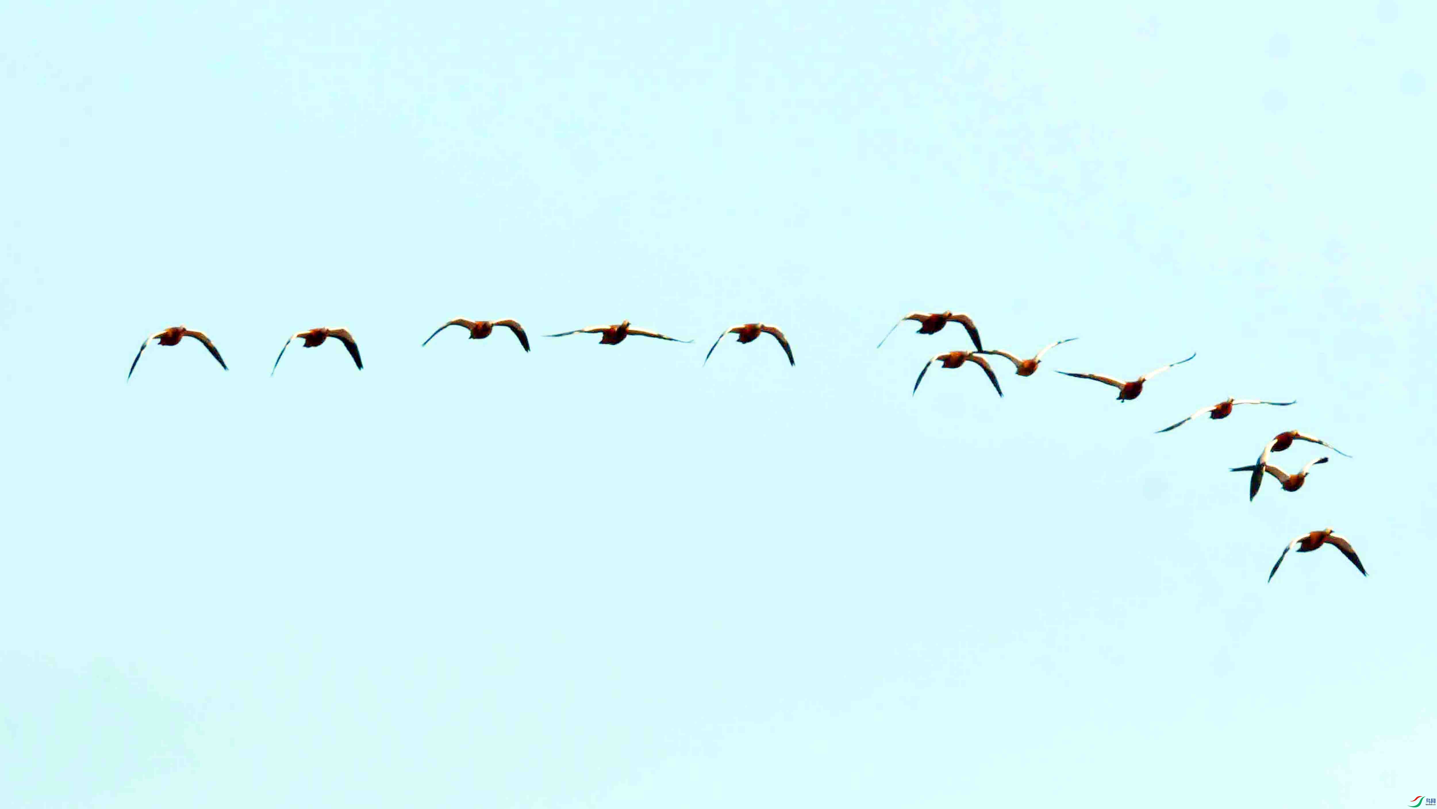 DSC_9038.JPG