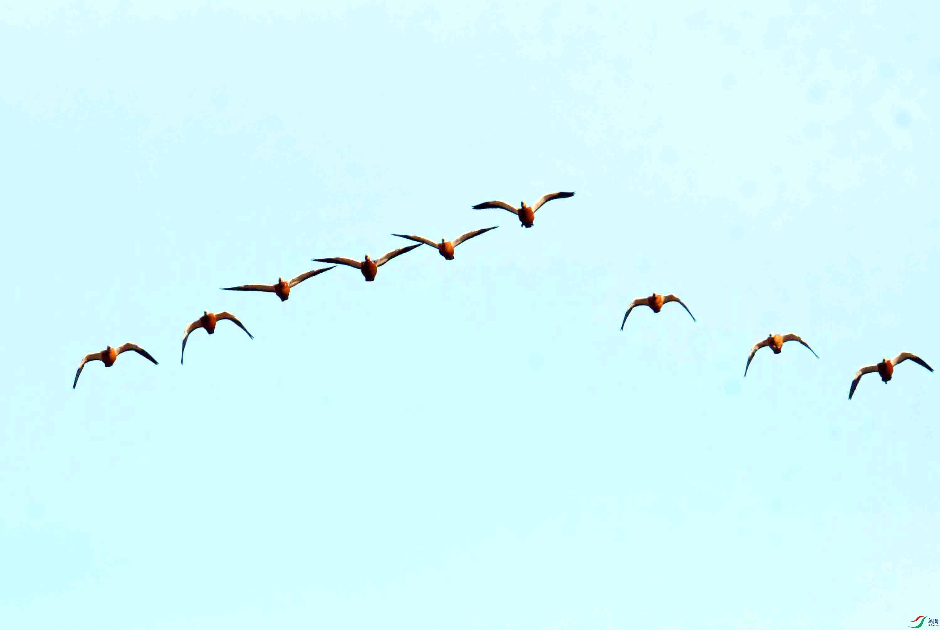 DSC_9047.JPG