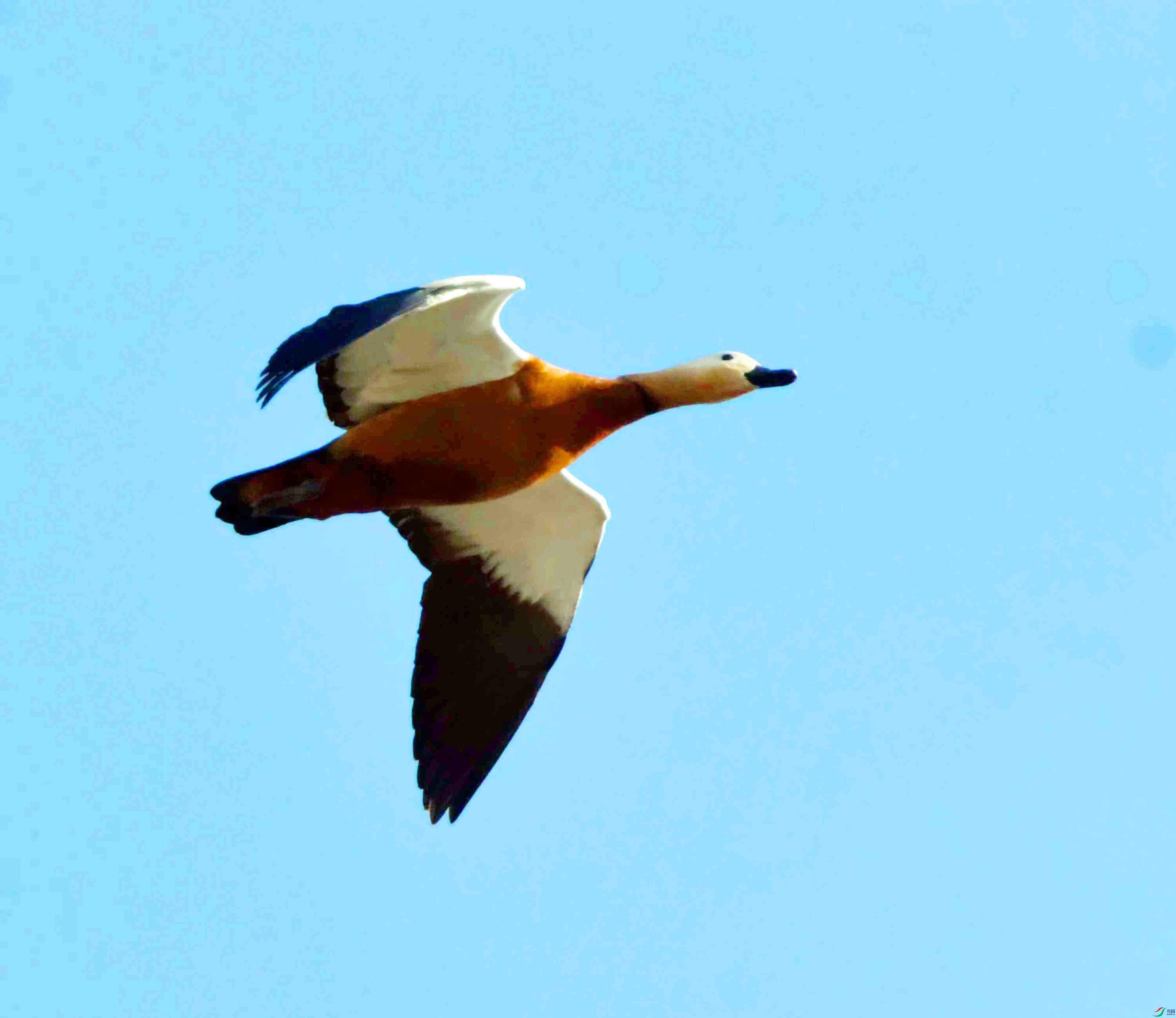 DSC_9140.JPG