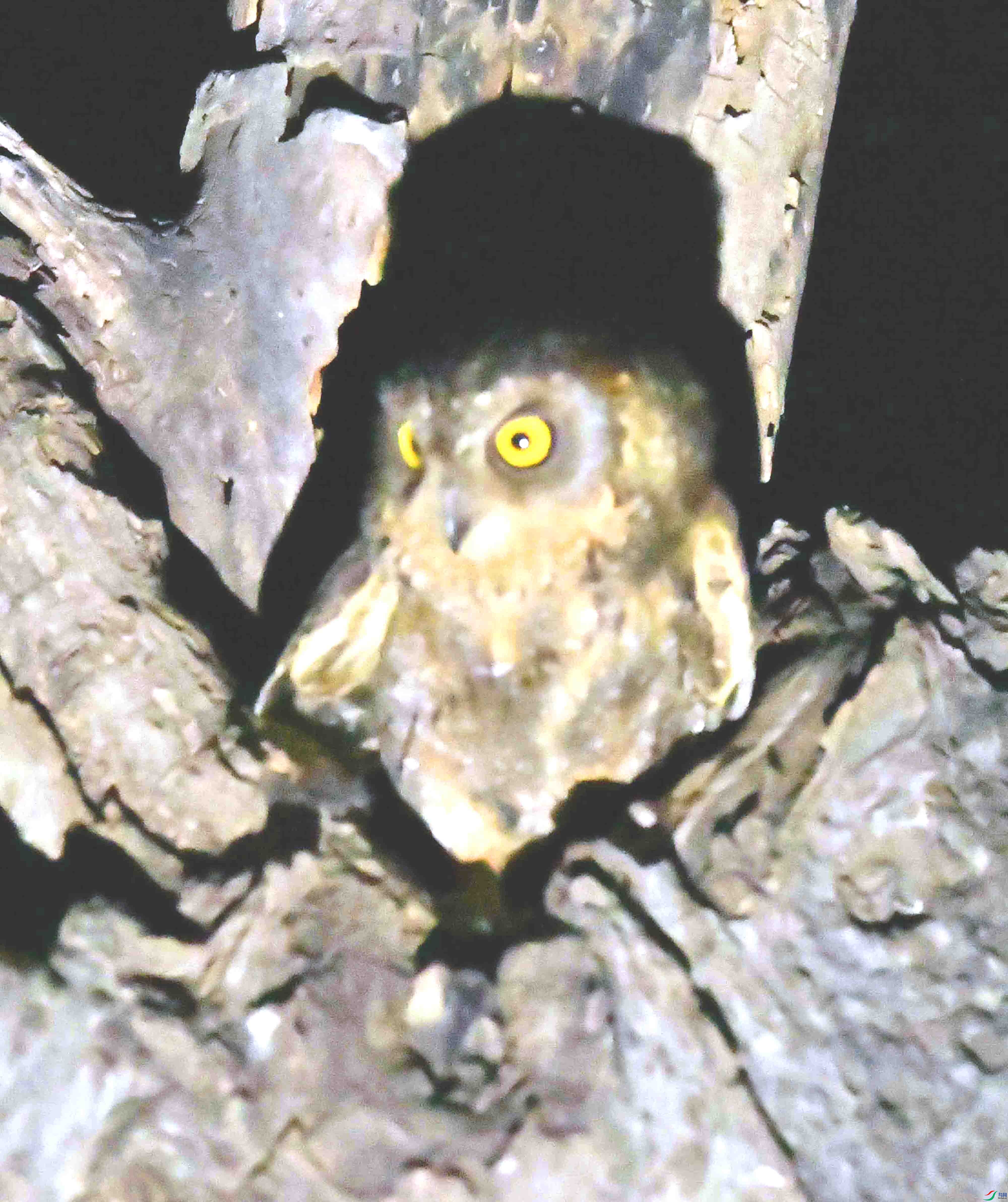 DSC_4754.JPG