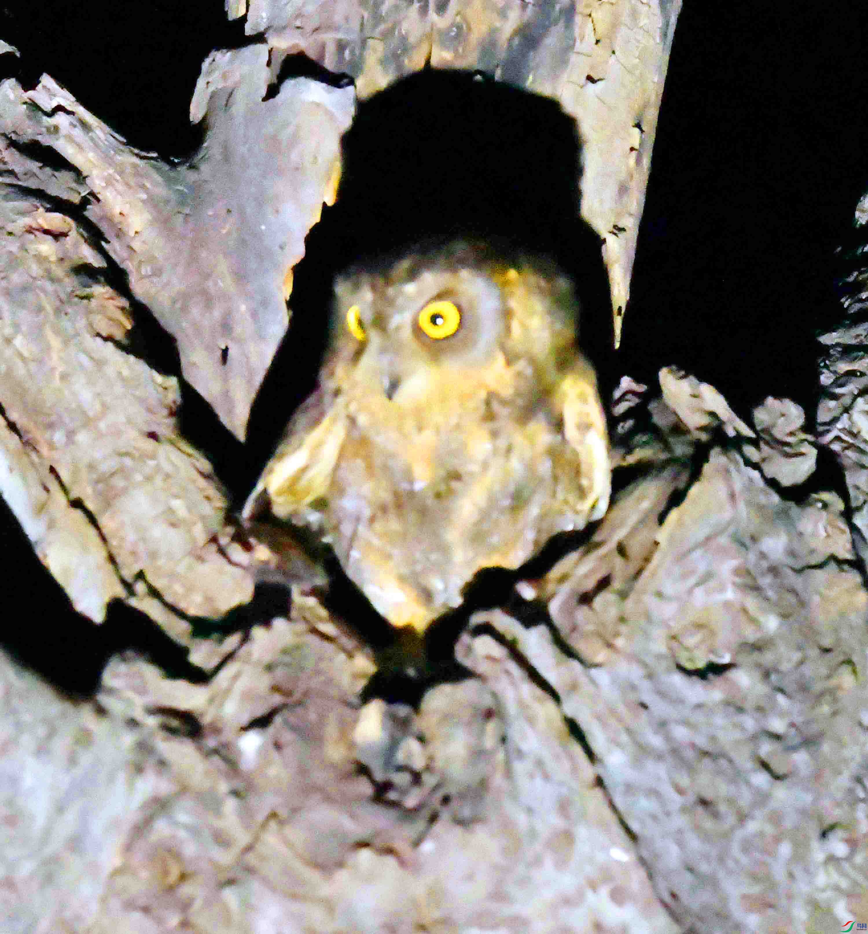 DSC_4755.JPG
