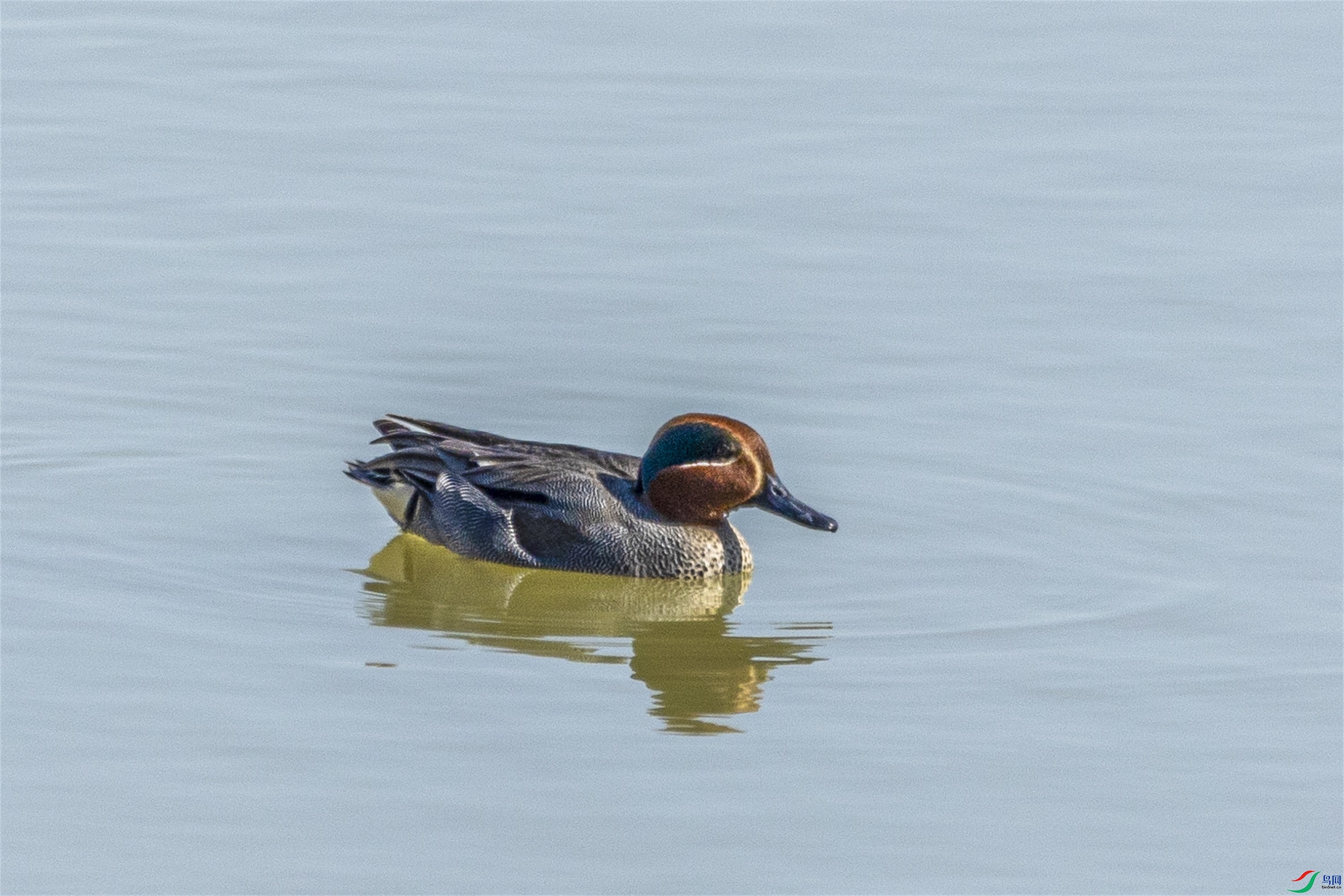 1K3A0864 ����1.jpg