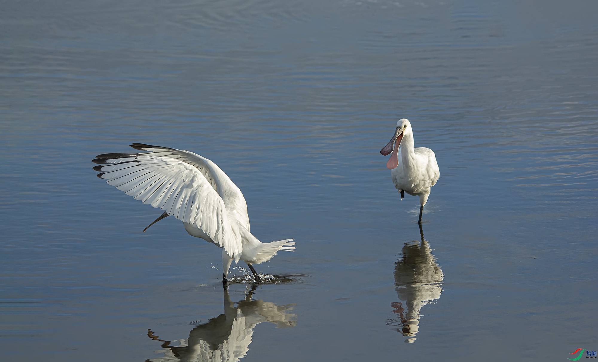 DSC_5771.jpg