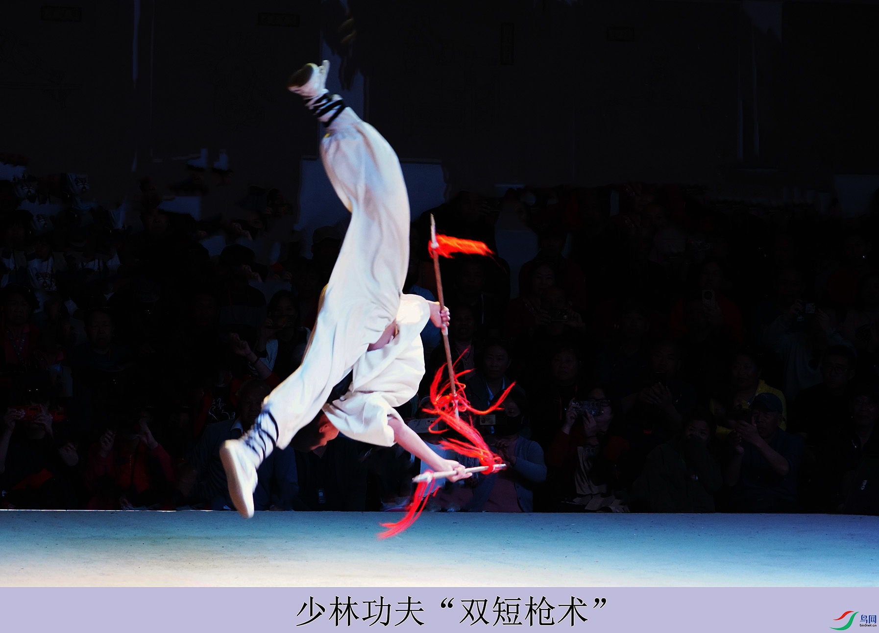 DSC07315.jpg