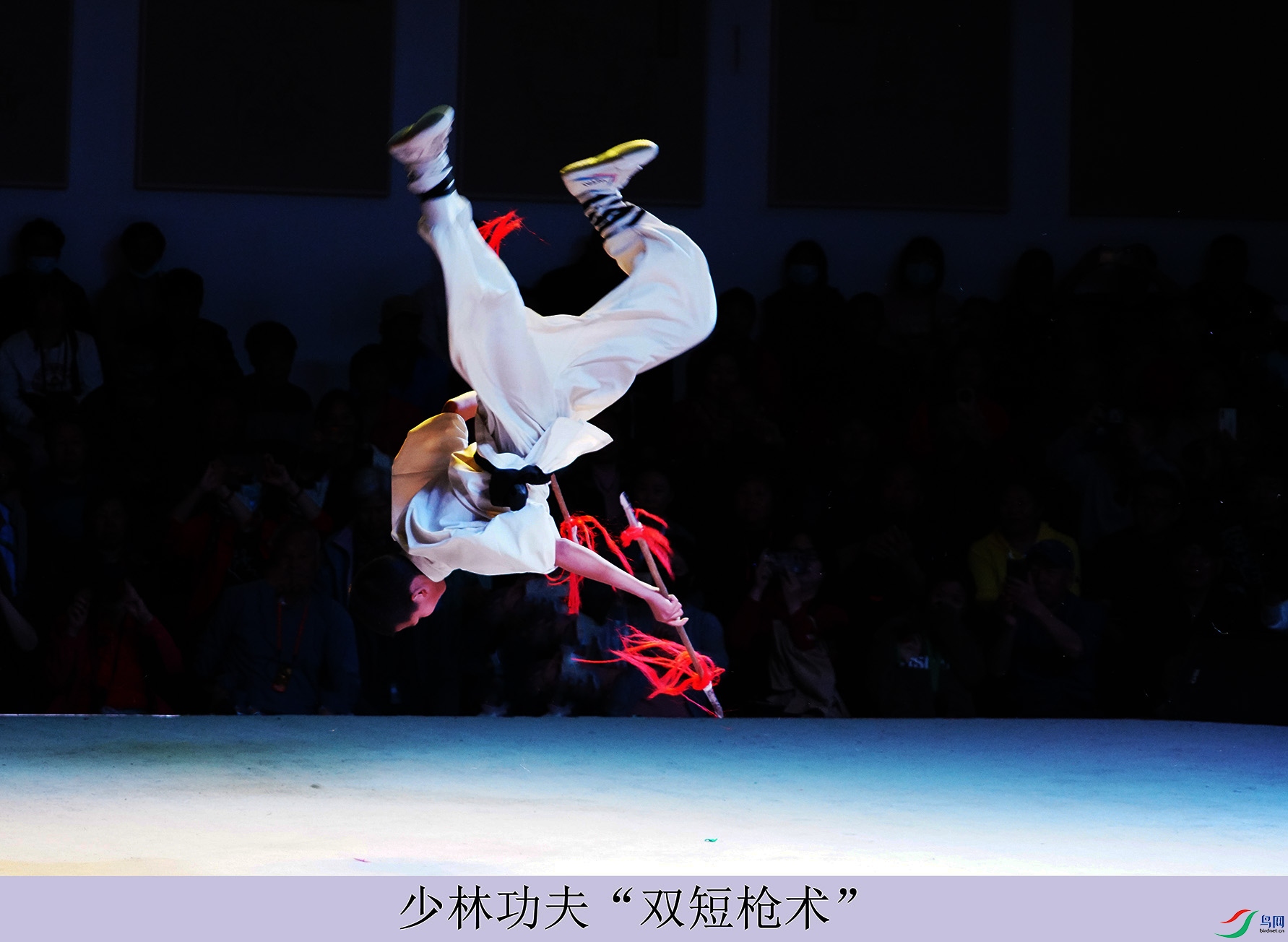 DSC07316.jpg