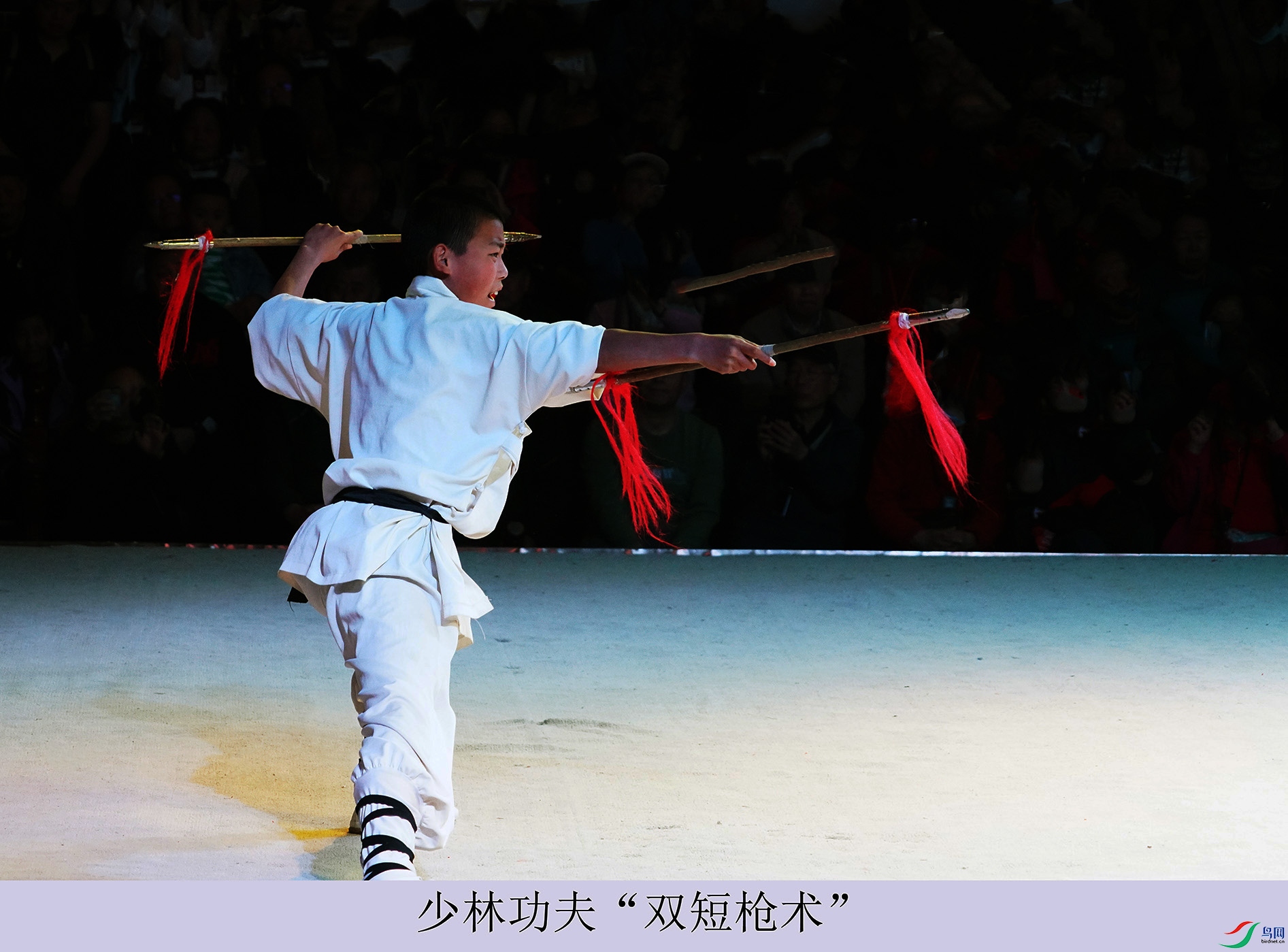 DSC07382.jpg