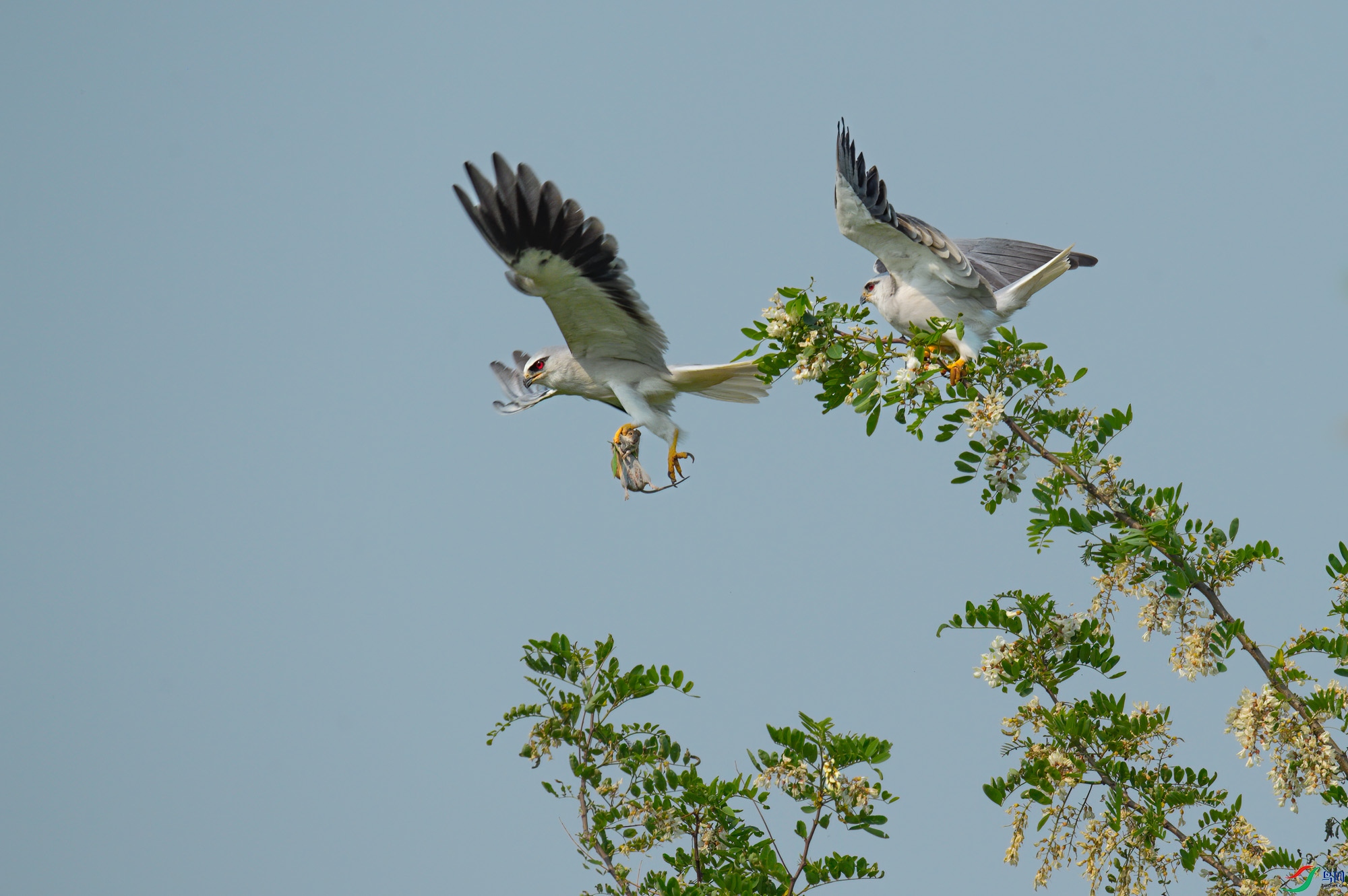 ���ӹ����������ת����ȥ��
