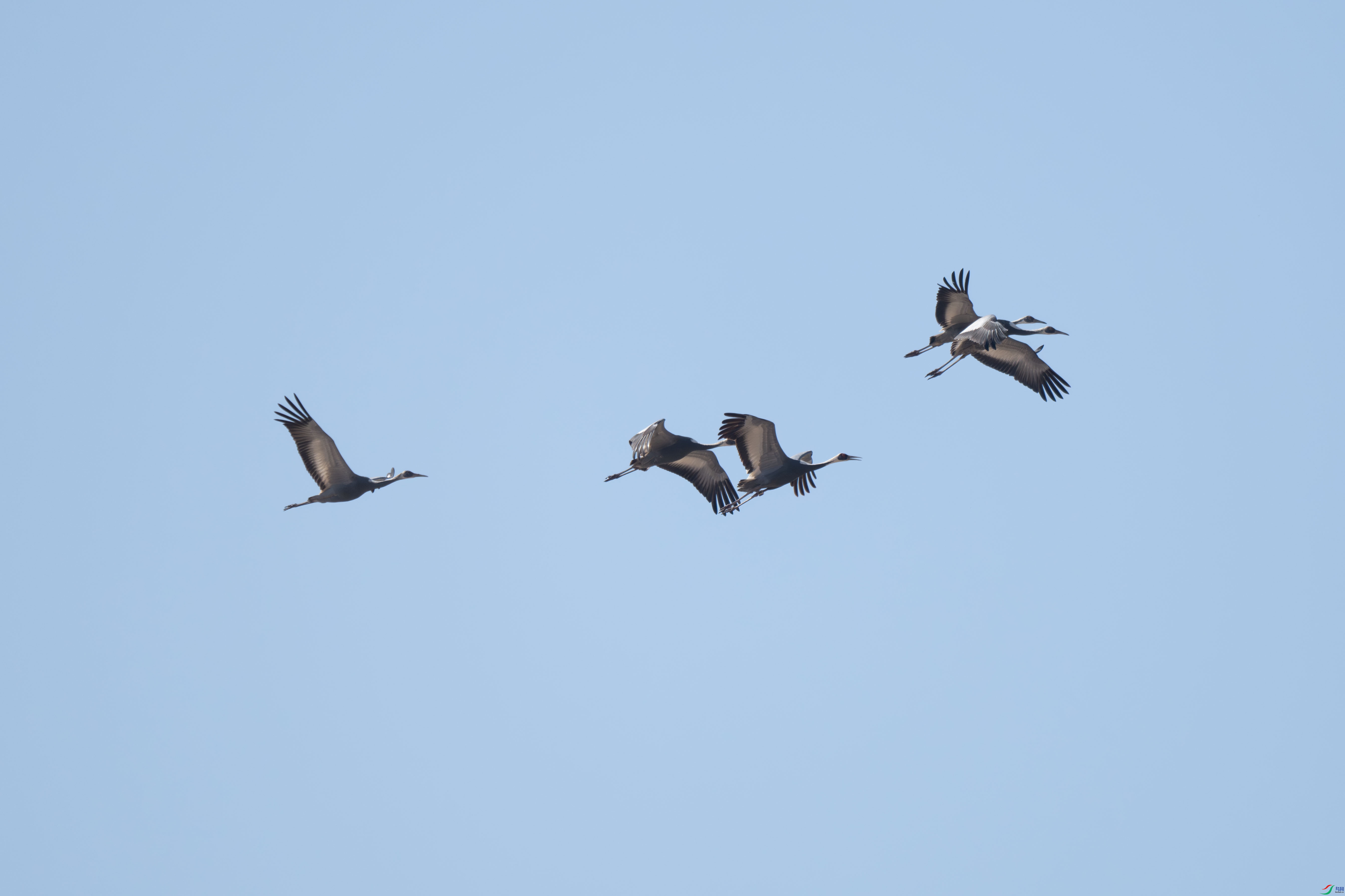 DSC_6492.jpg