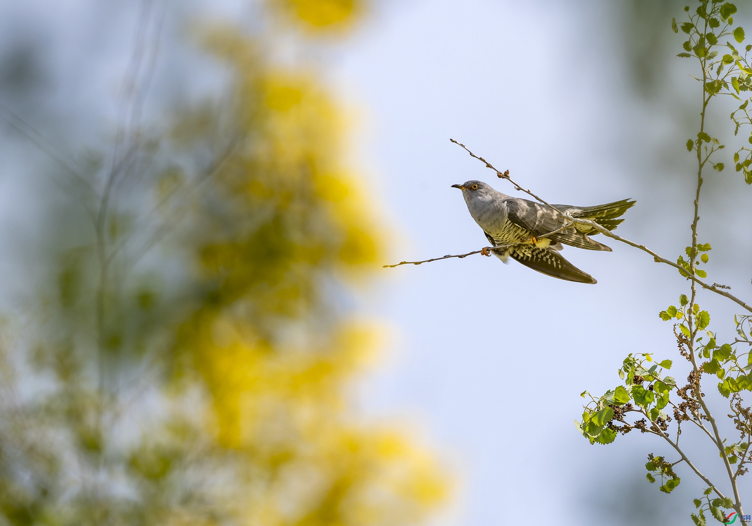 ��ž� (13)-1.jpg