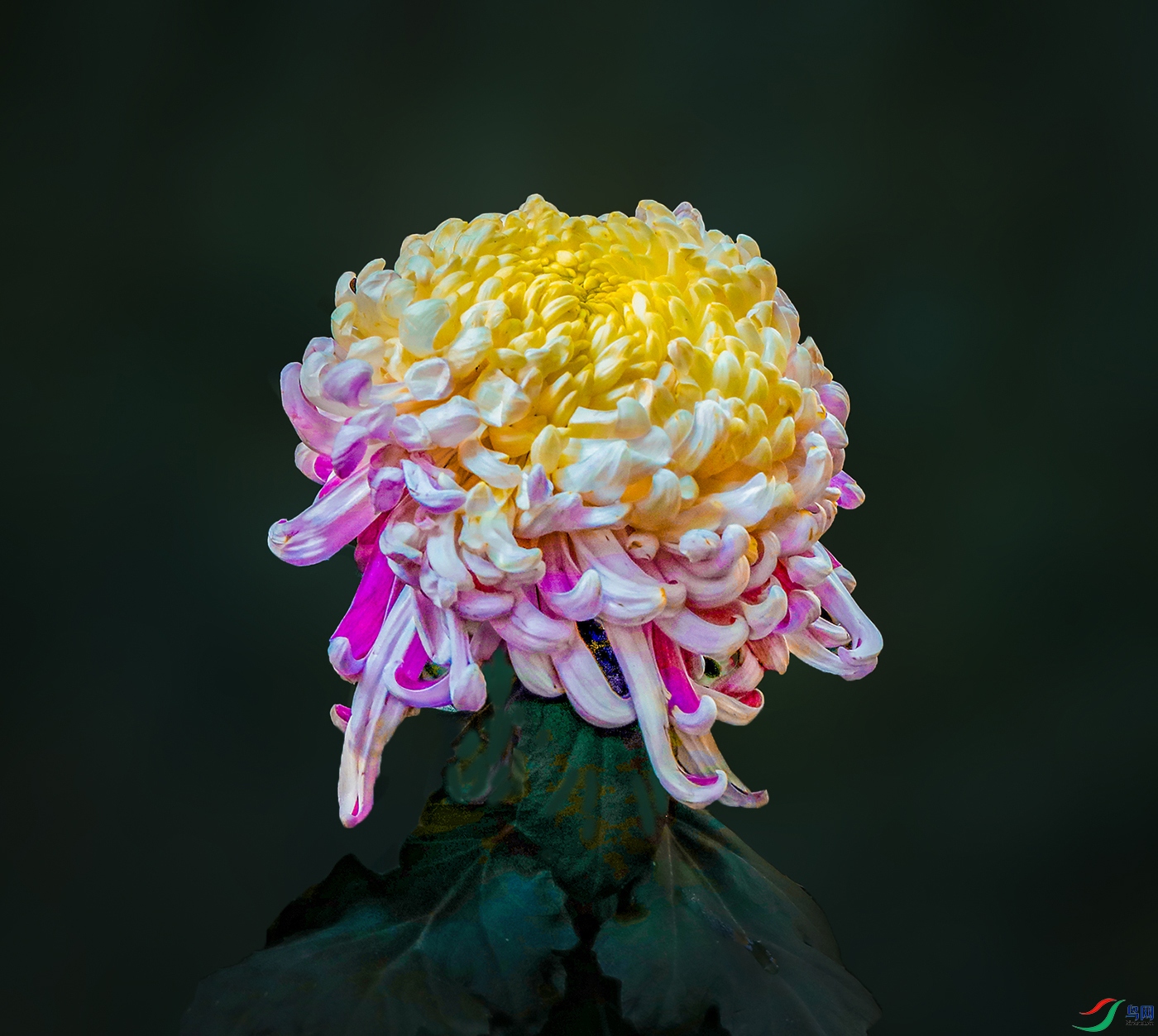 0000583A0450 �������� 1000k.jpg