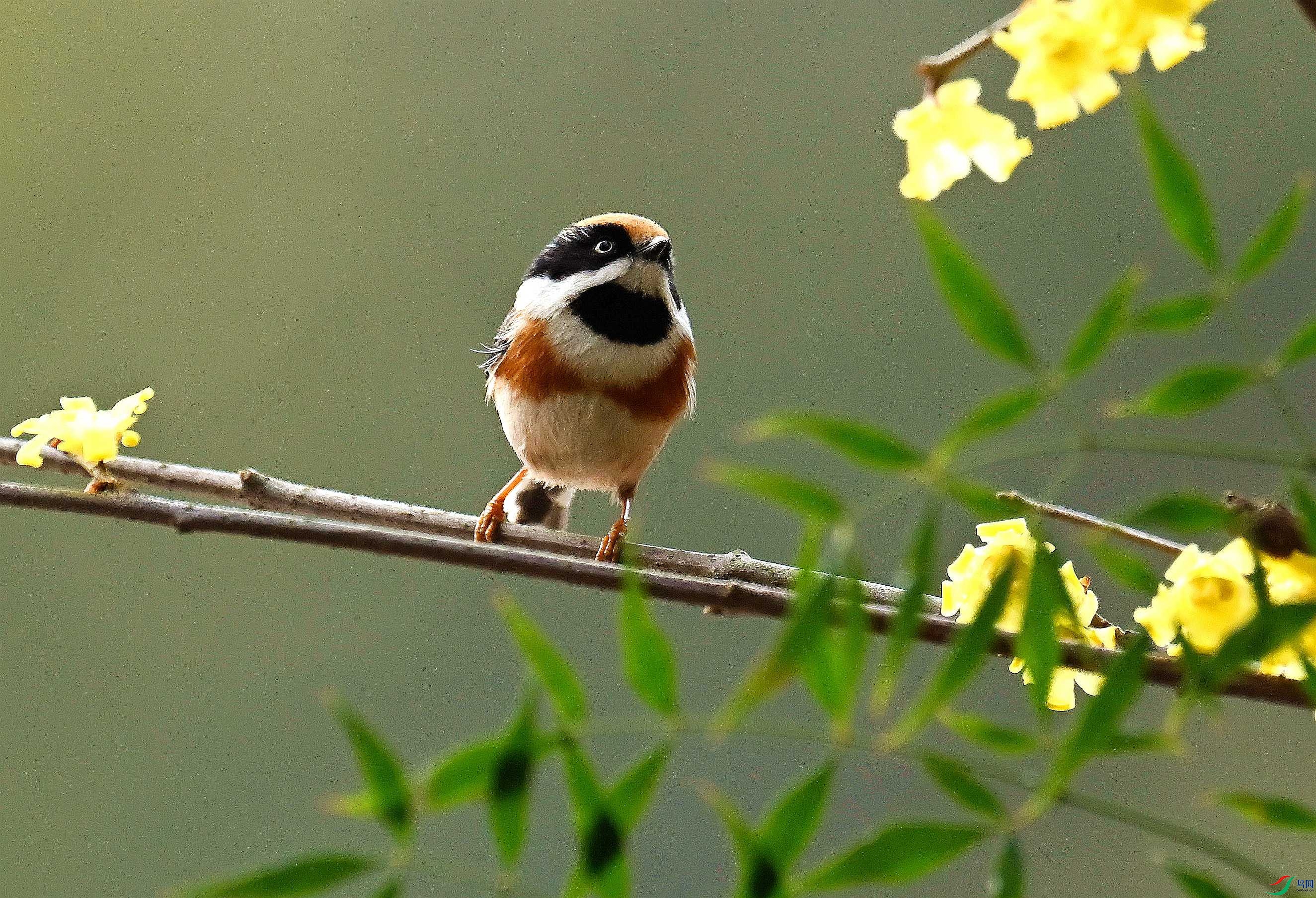 DSC_2270.JPG