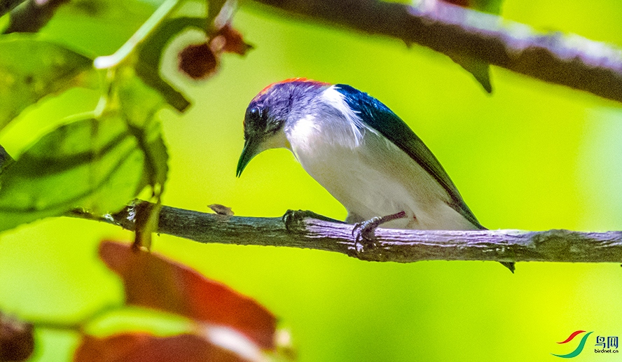 _DSC5610.jpg