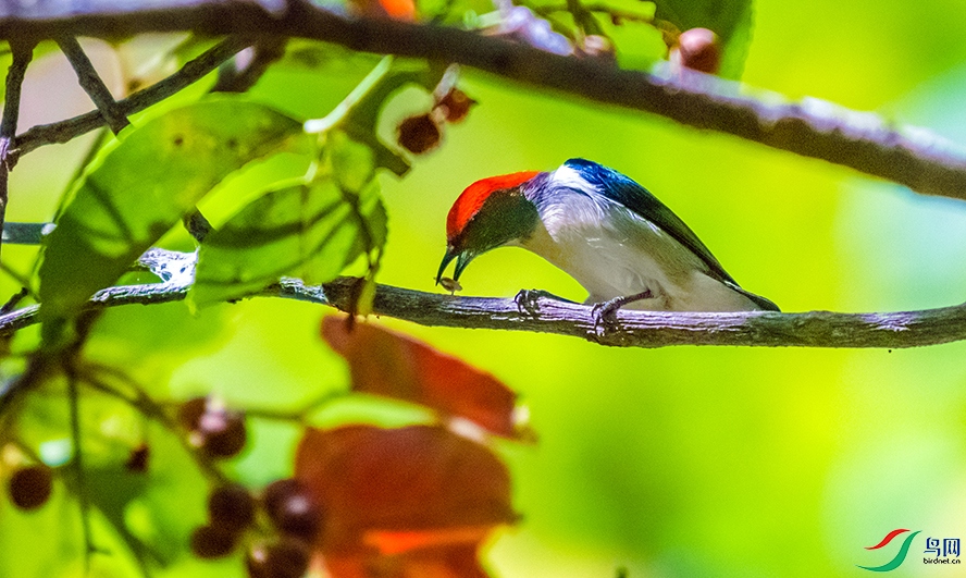 _DSC5611.jpg