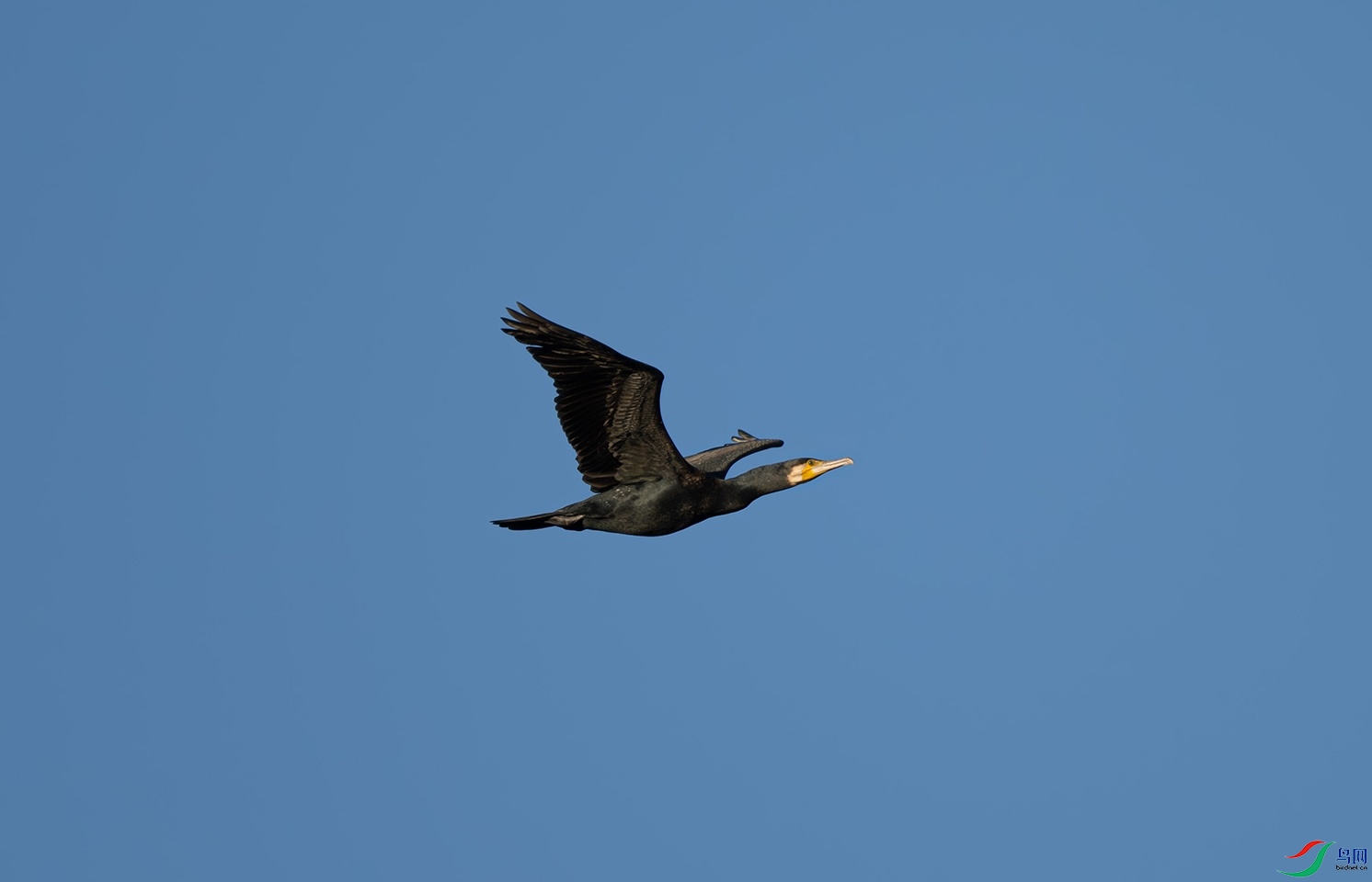 _DSC6271-1.jpg