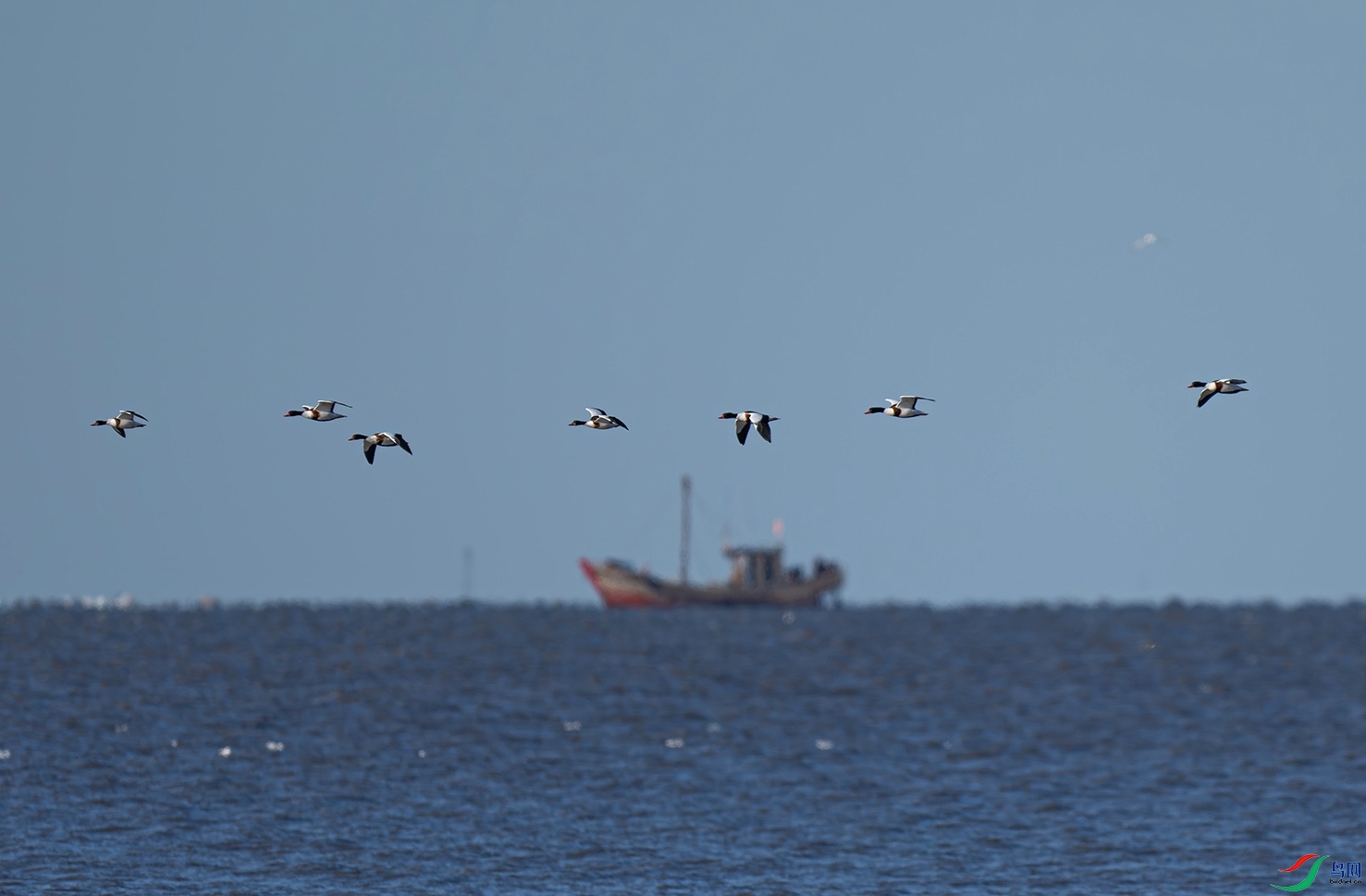 _DSC3004f.jpg