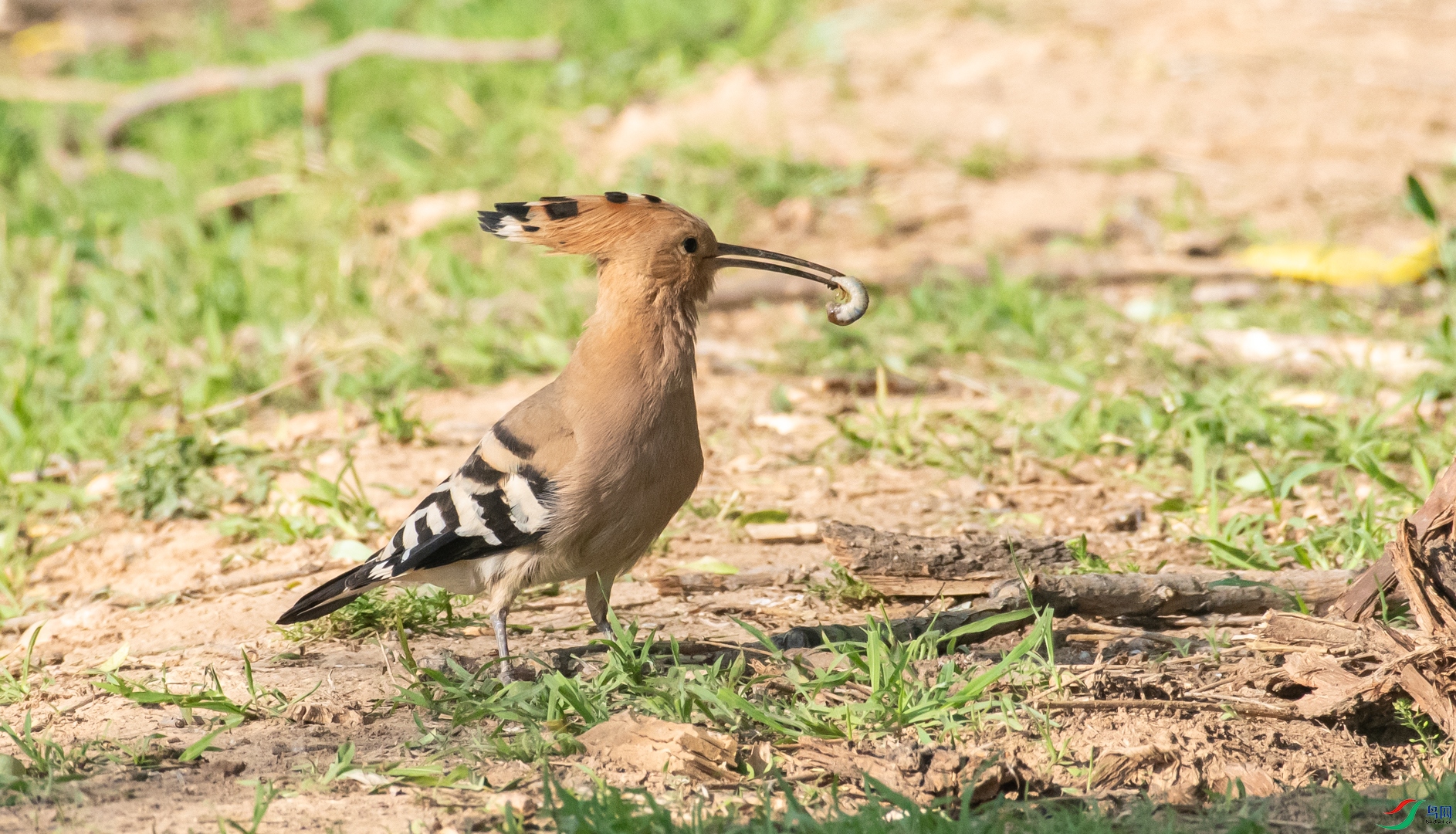 DSC_7923.jpg
