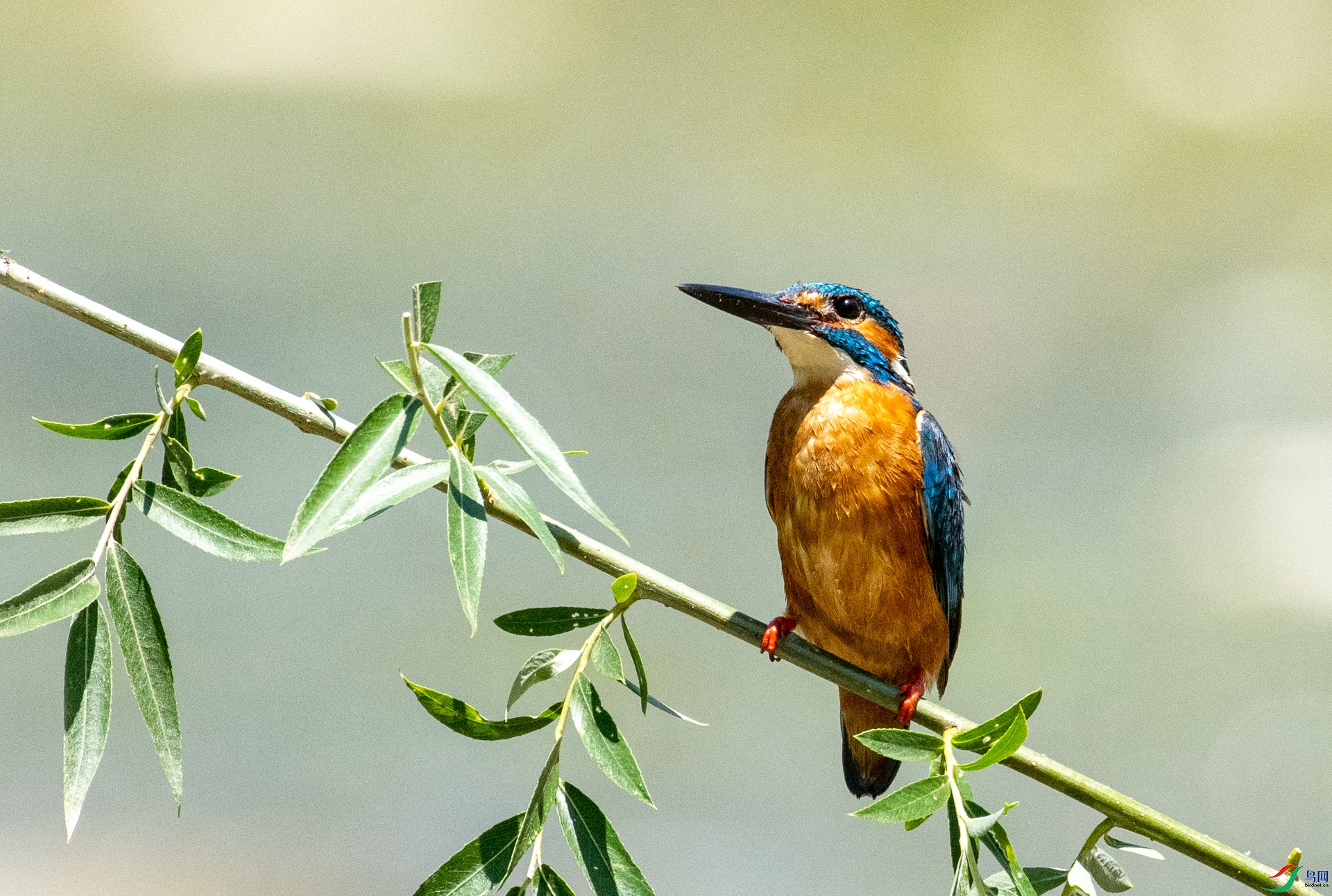 DSC_7593.jpg
