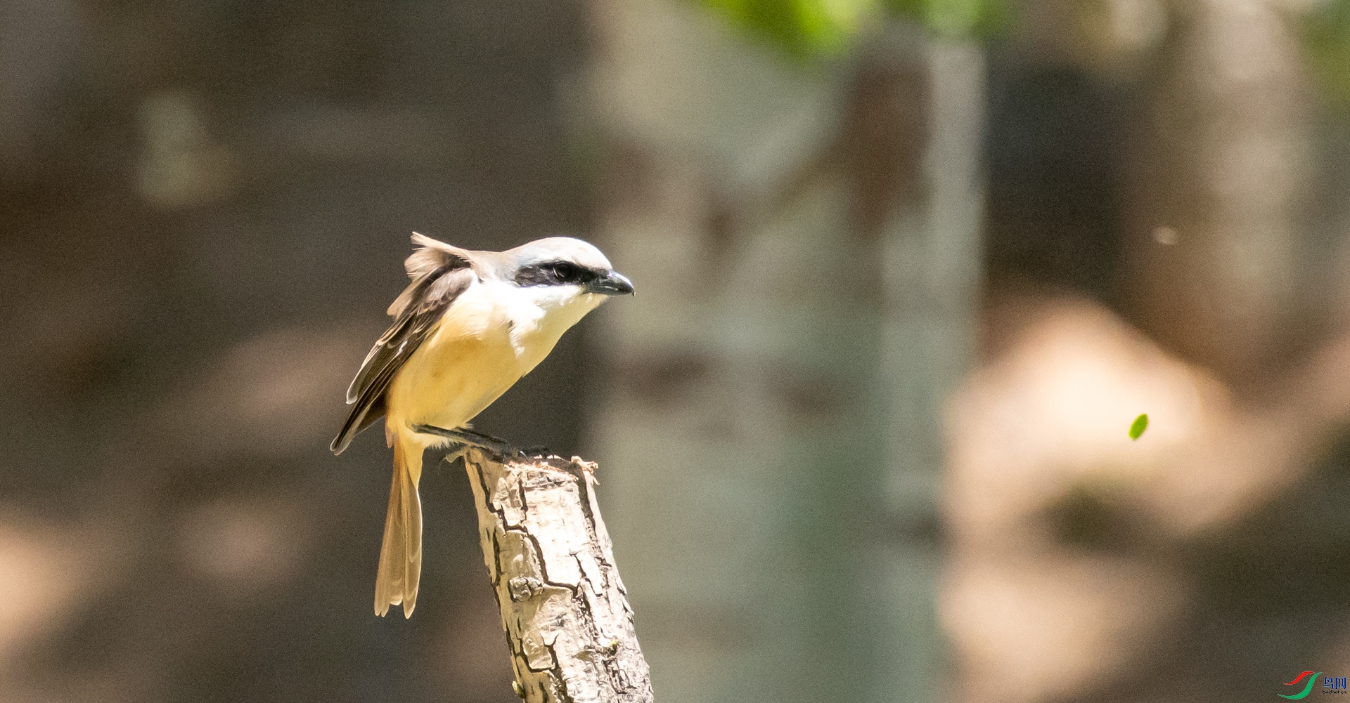 DSC_7667.jpg