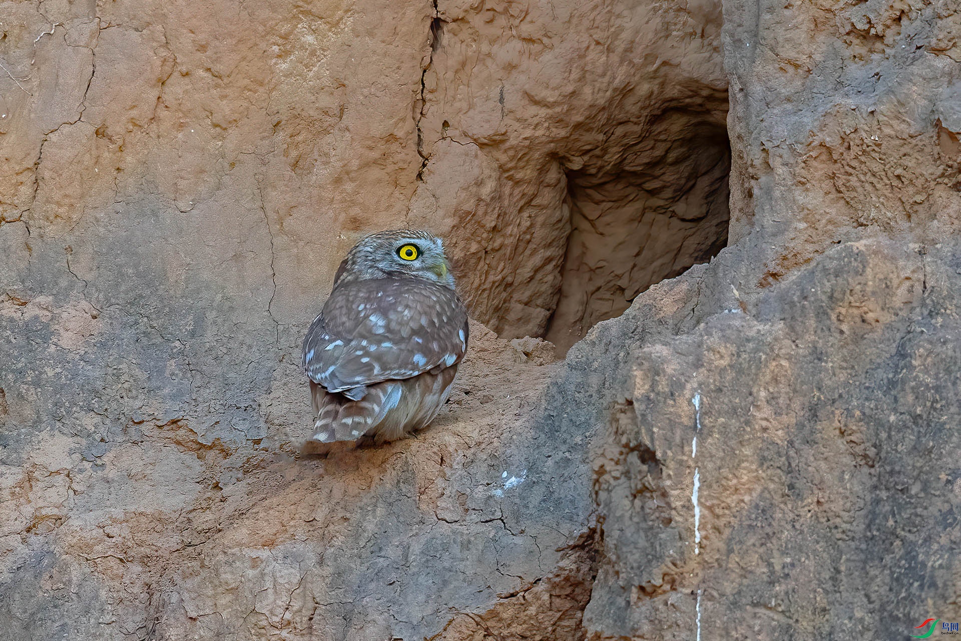 DSC_0827.jpg
