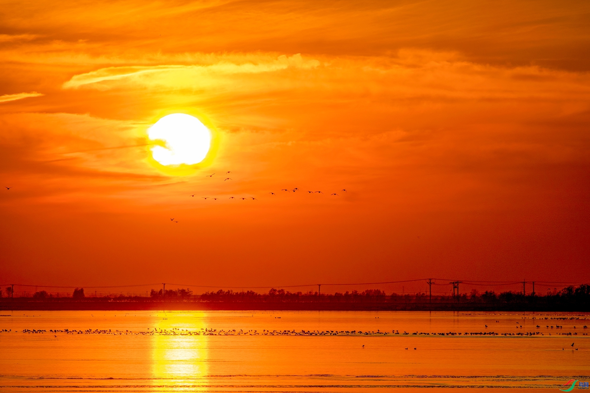 4.2 Ұâ��ʦ��Ʒ  ���Ϧ���ž���  �ٻ�2024��4��2����Ӱʦ��ҳ����.jpg