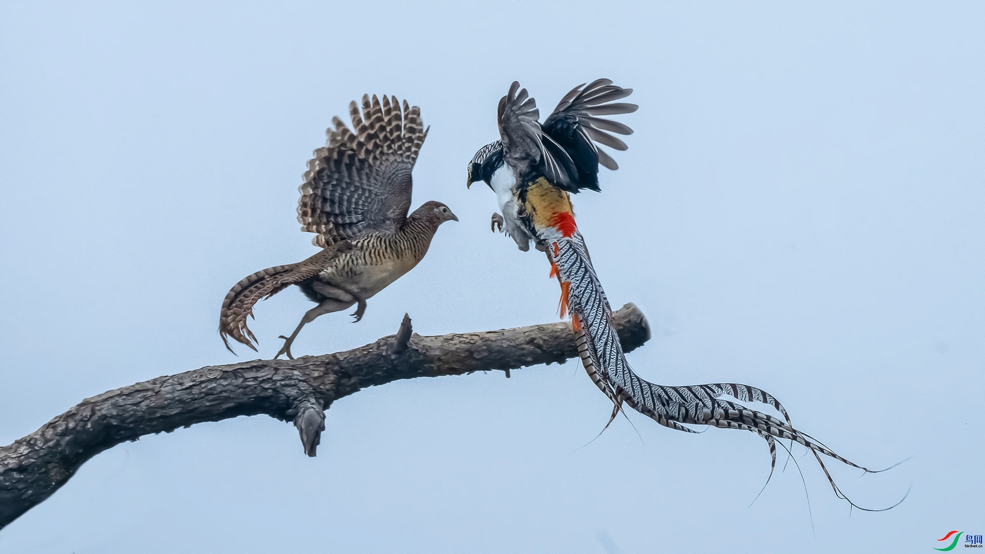 4.2 ��������ʦ��Ʒ  �׸�����  �ٻ�2024��4��2��������ҳ����.jpg