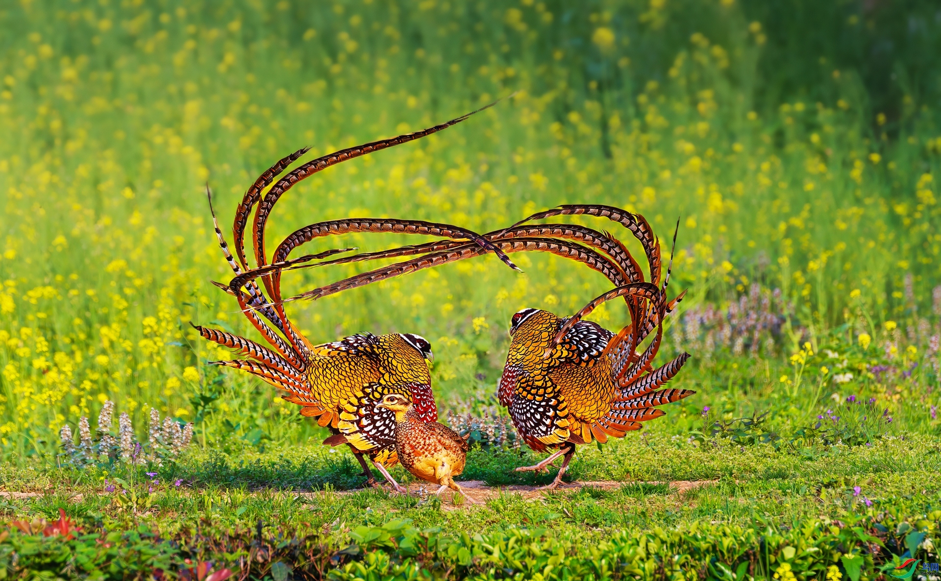 4.2 л������ʦ��Ʒ  �ʺ���  �ٻ�2024��4��2�հ�����ҳ����.jpg